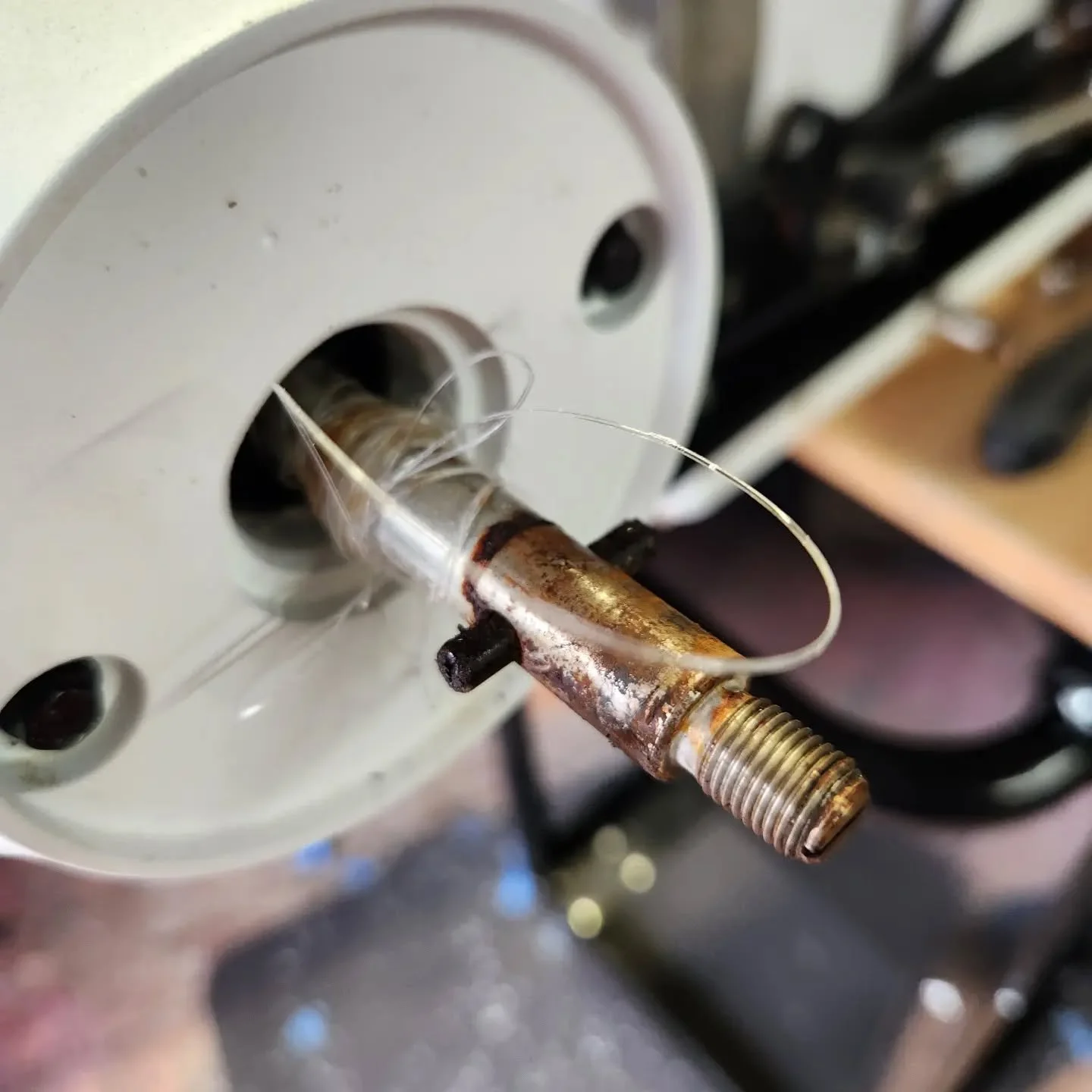 Remember to check your motor regularly for line.  If left in there it breaks the prop shaft seal and your lower armature is shot.  #trollingmotor #boating
#minnkota