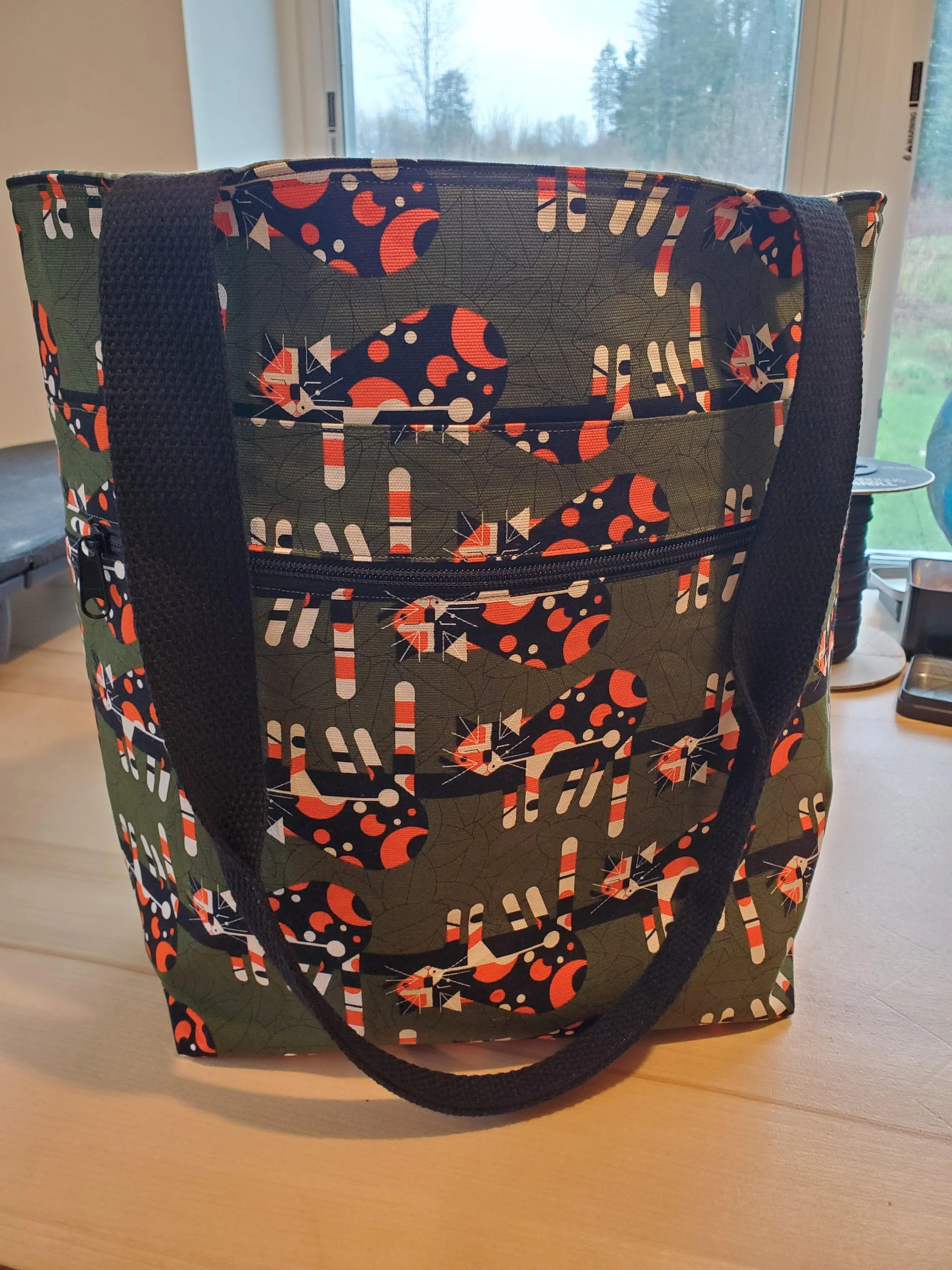 catbag.jpg