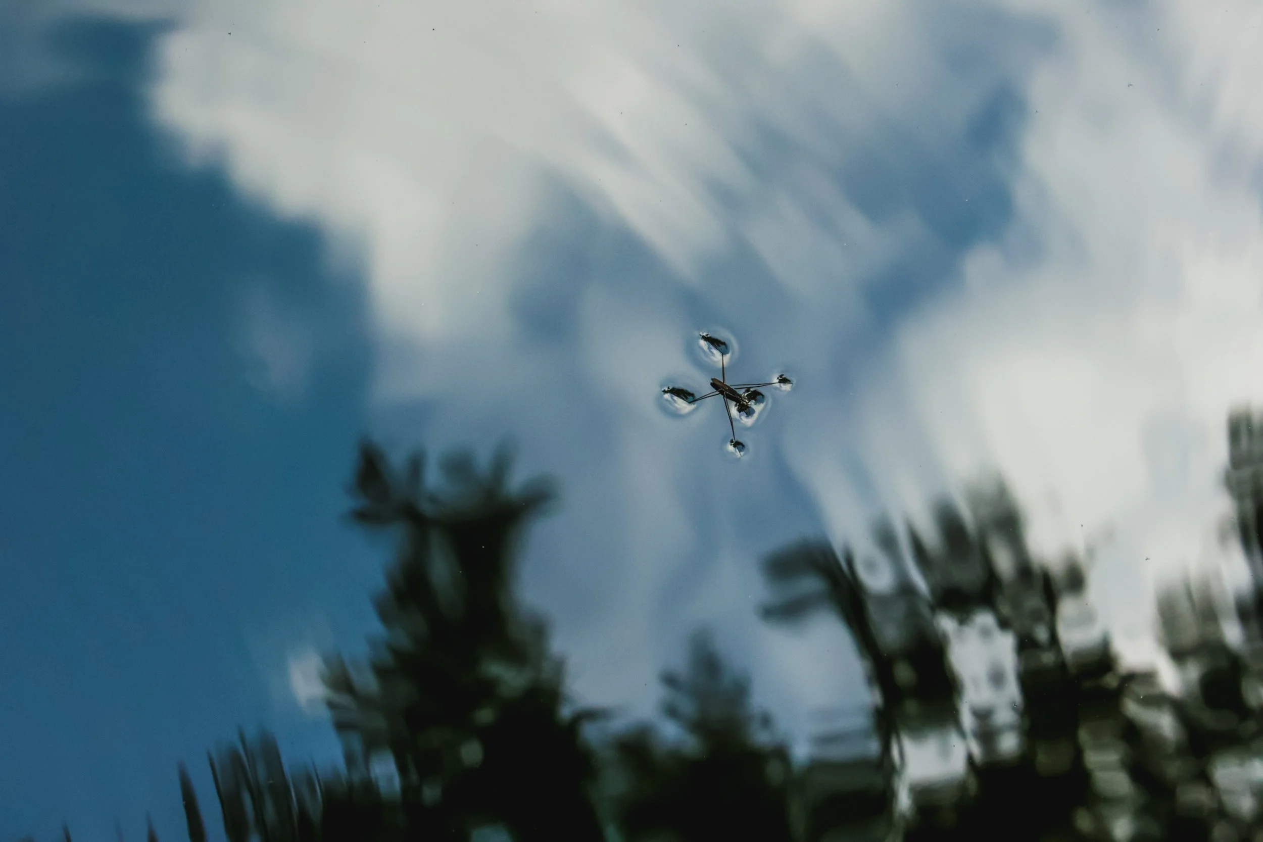 20230901142710_139A9357 (1).jpg