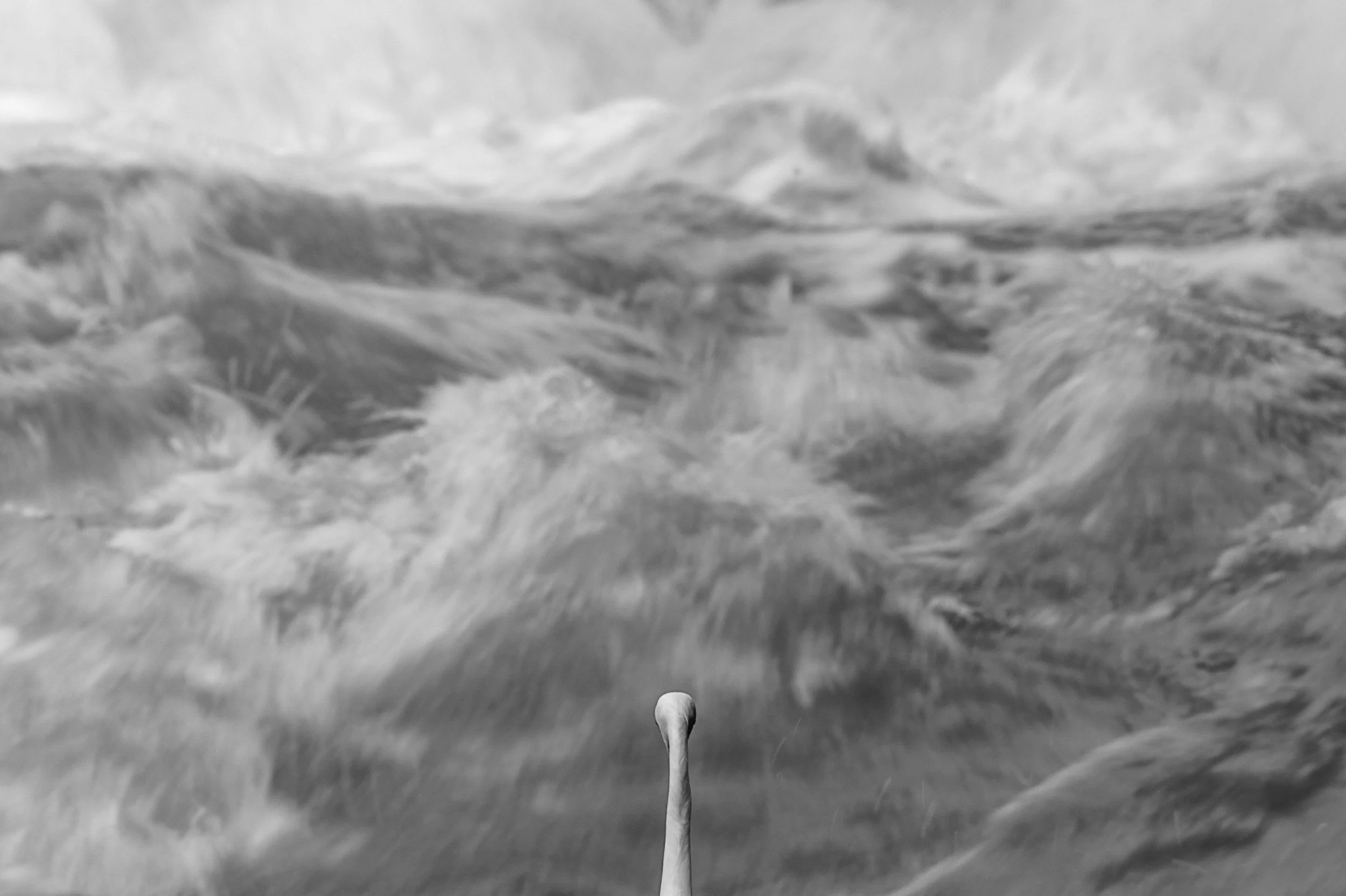 20230924161559_139A4236 (1).jpg