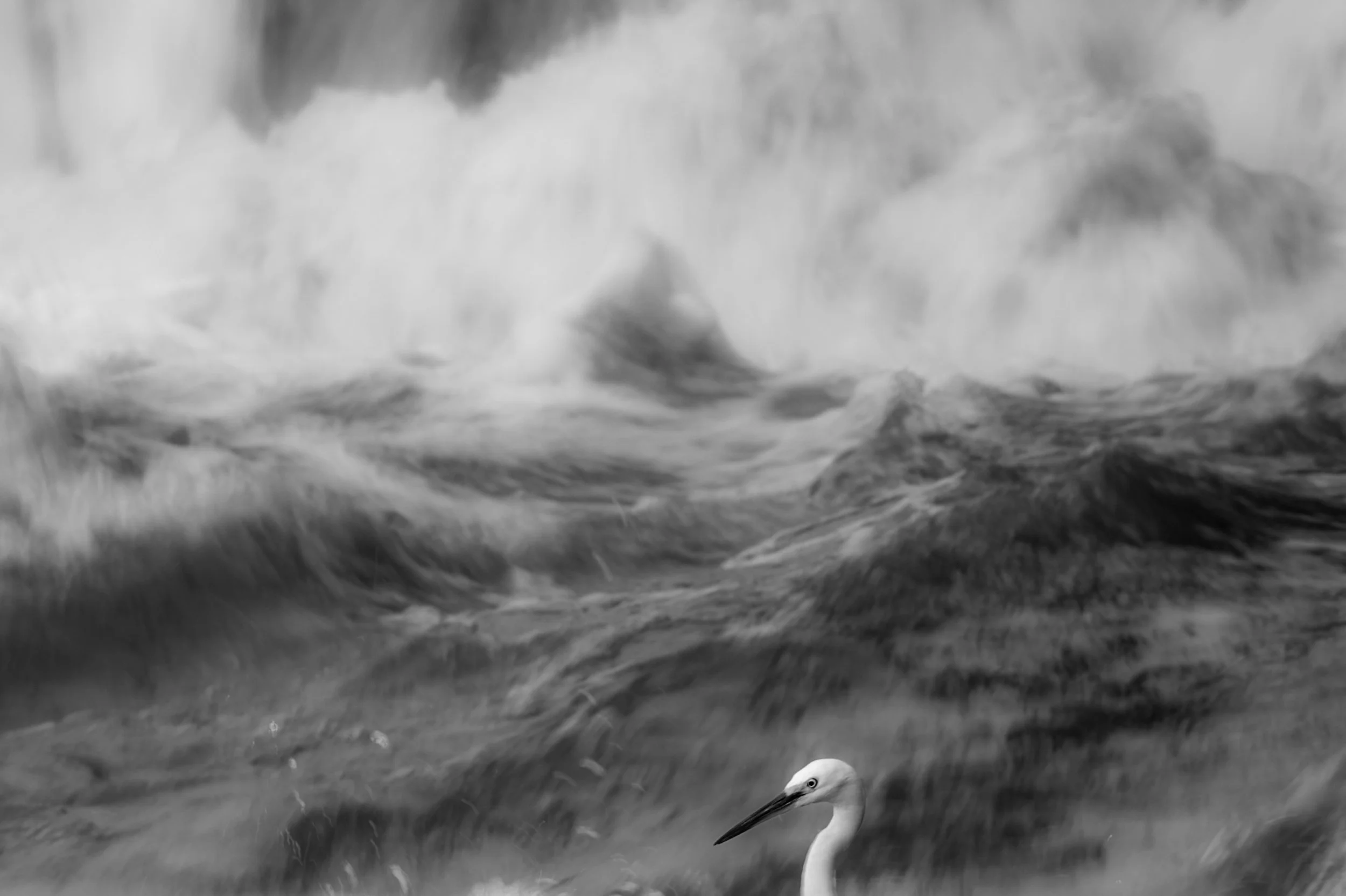 20230924161531_139A4226 (1).jpg