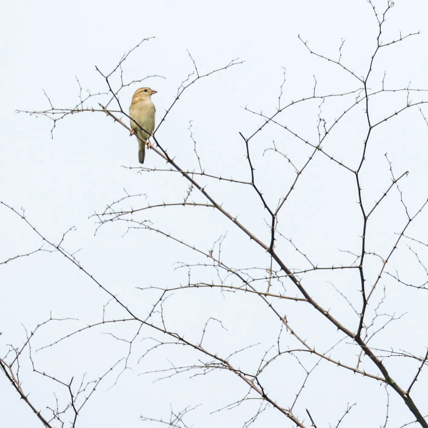 20230924145843_139A3467 (1).jpg