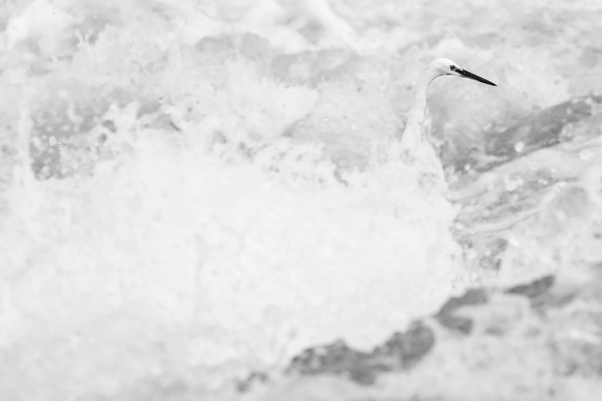 20230924154703_139A3741 (13).jpg