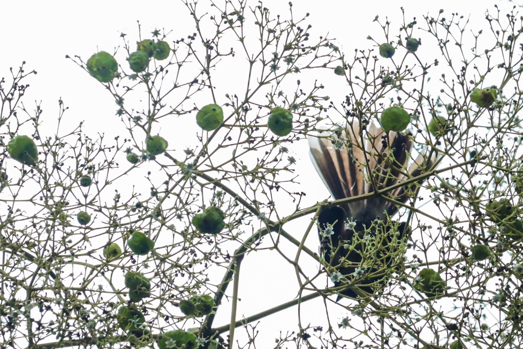 20230909114948_139A0377 (1).jpg