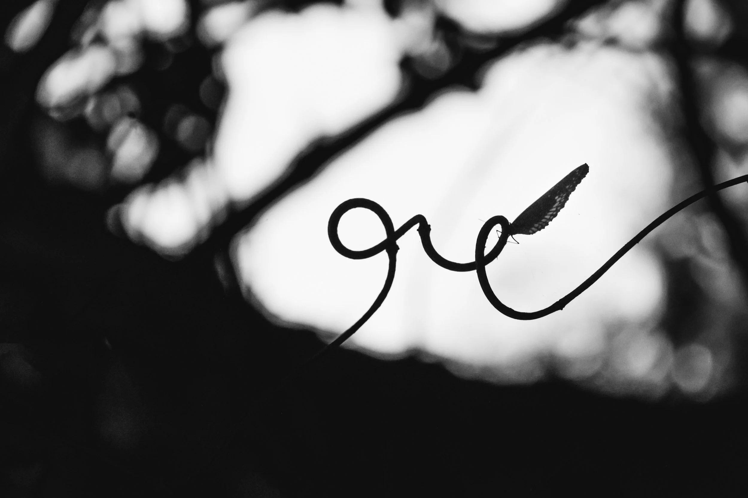 20230902163400_139A9450 (1).jpg