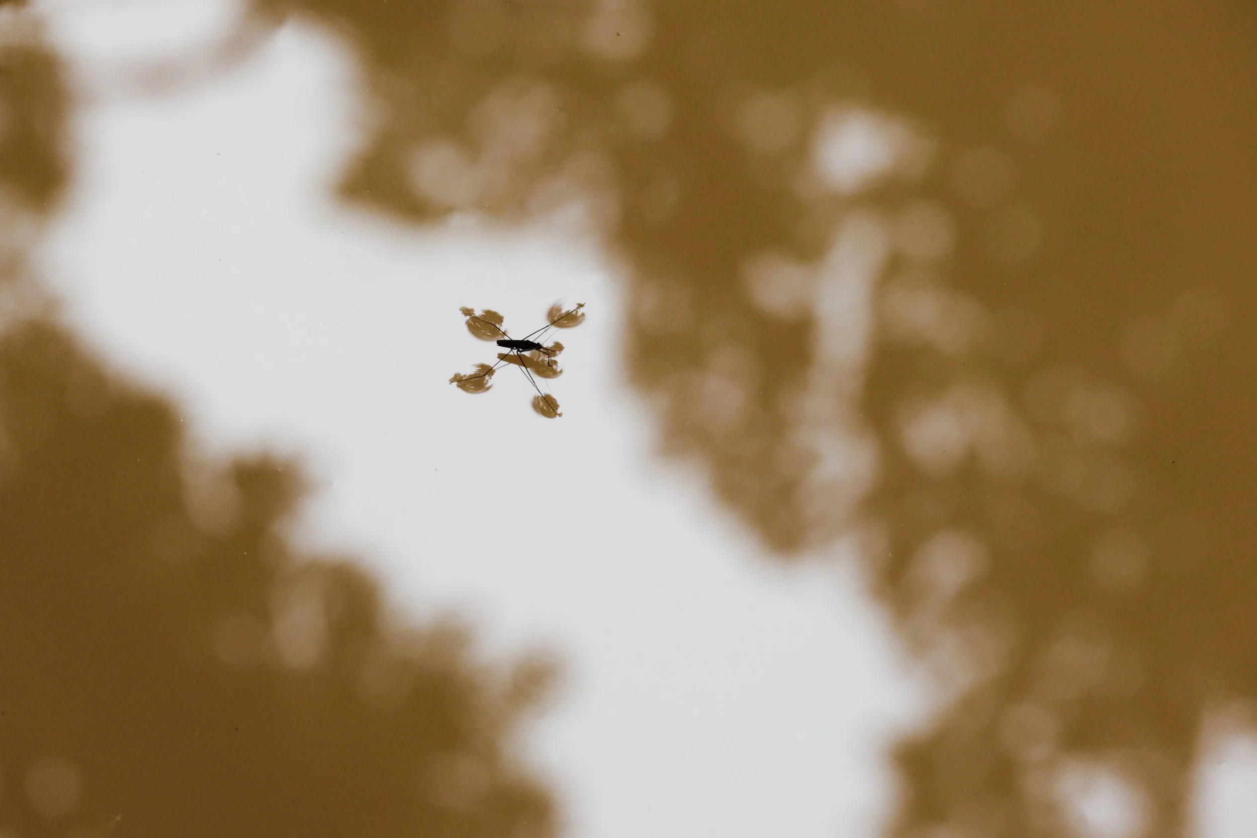 20230909150400_139A0435 (1).jpg