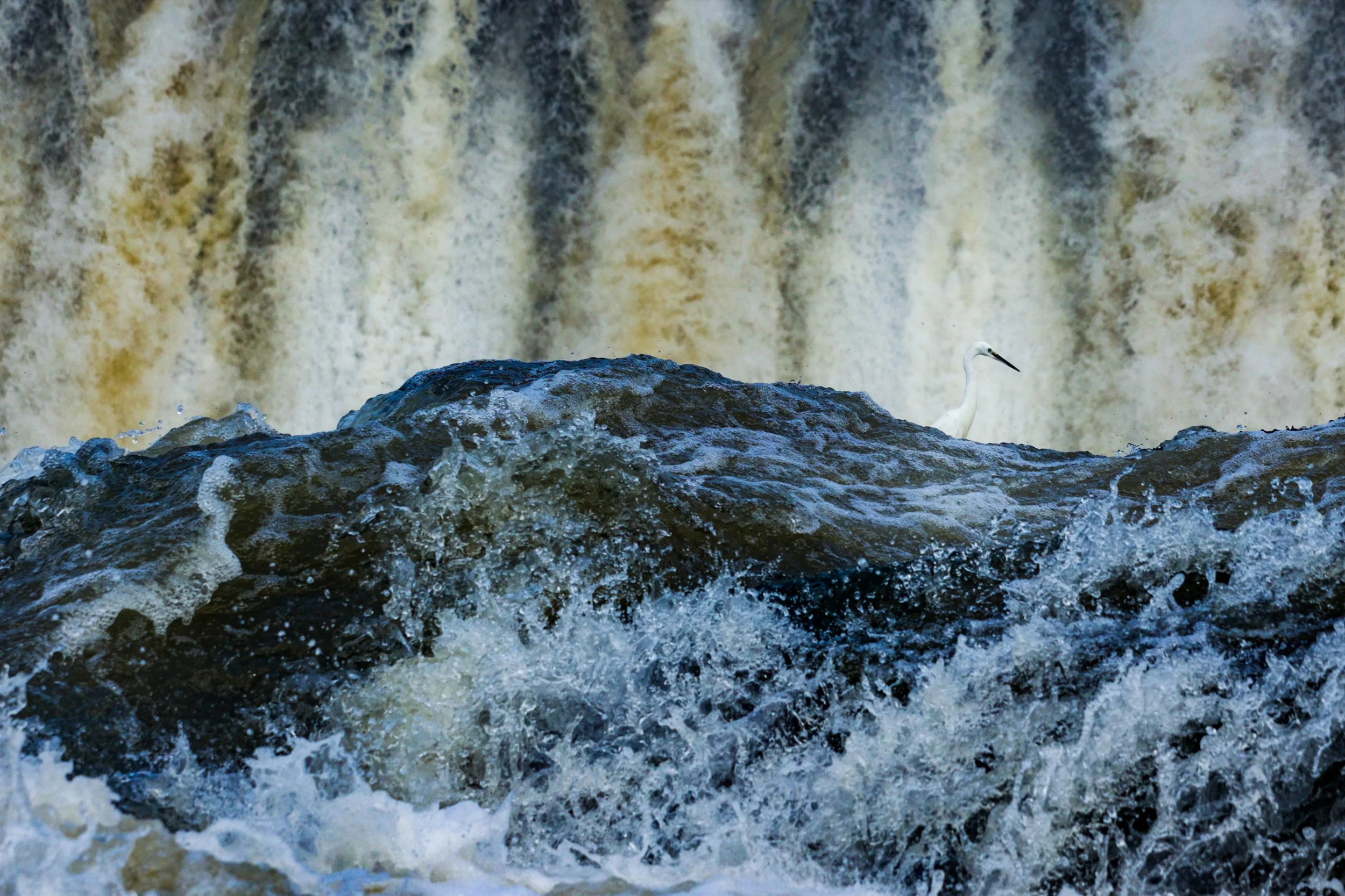 20230924154809_139A3779 (1).jpg