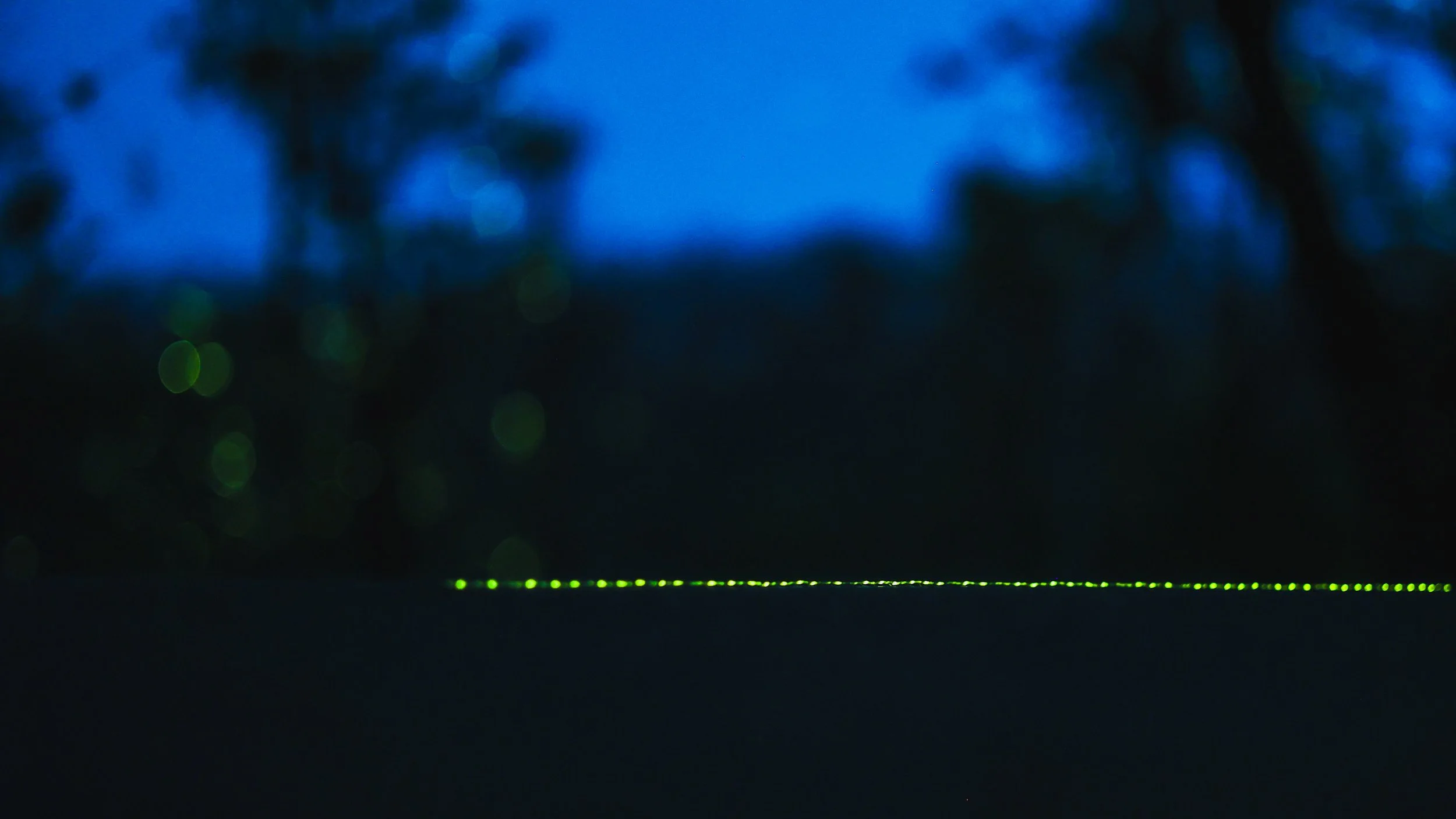 20240612001132_ARTL7181 (1).jpg