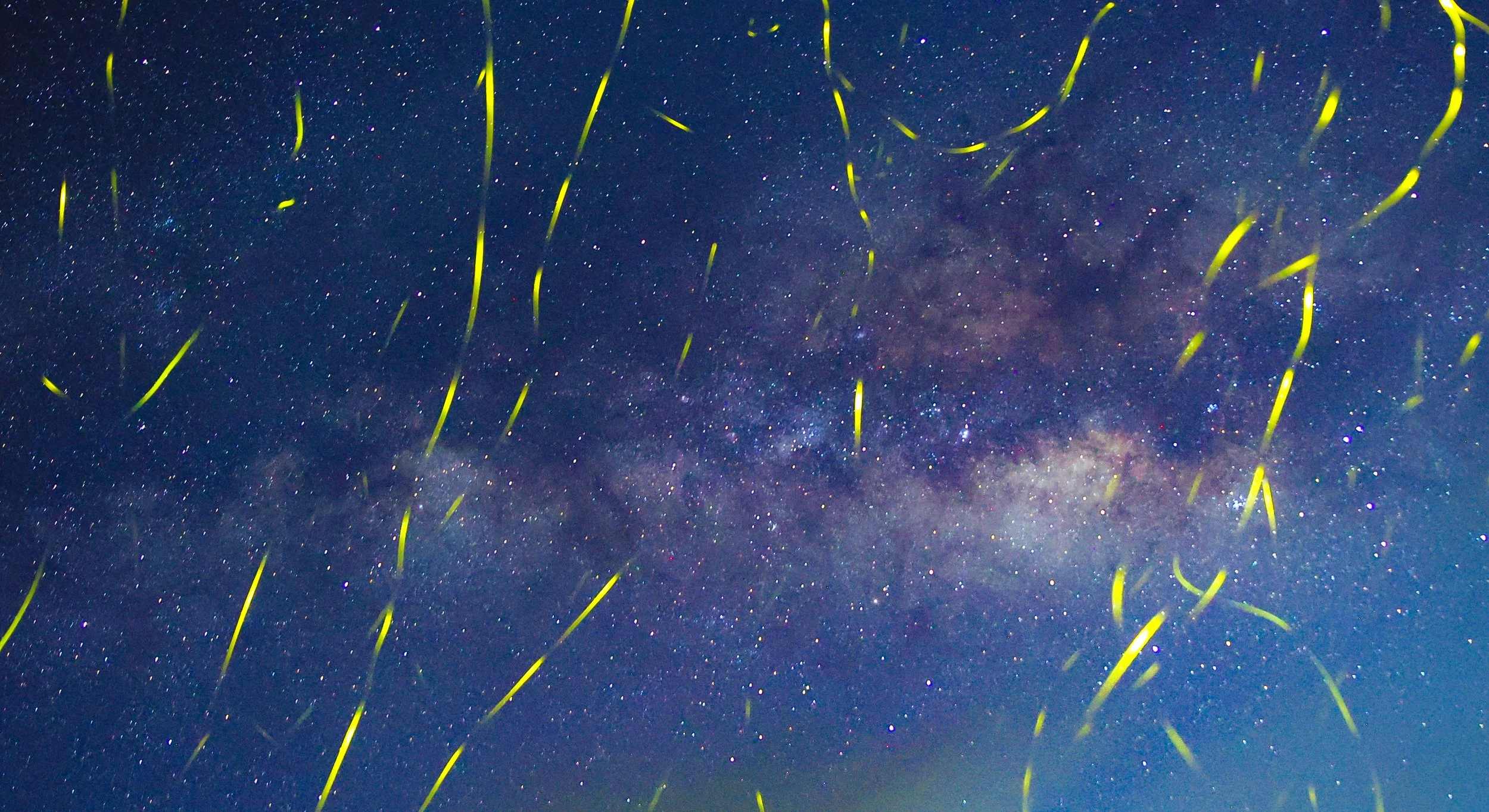 20240530002236_ARTL5083 (1).jpg