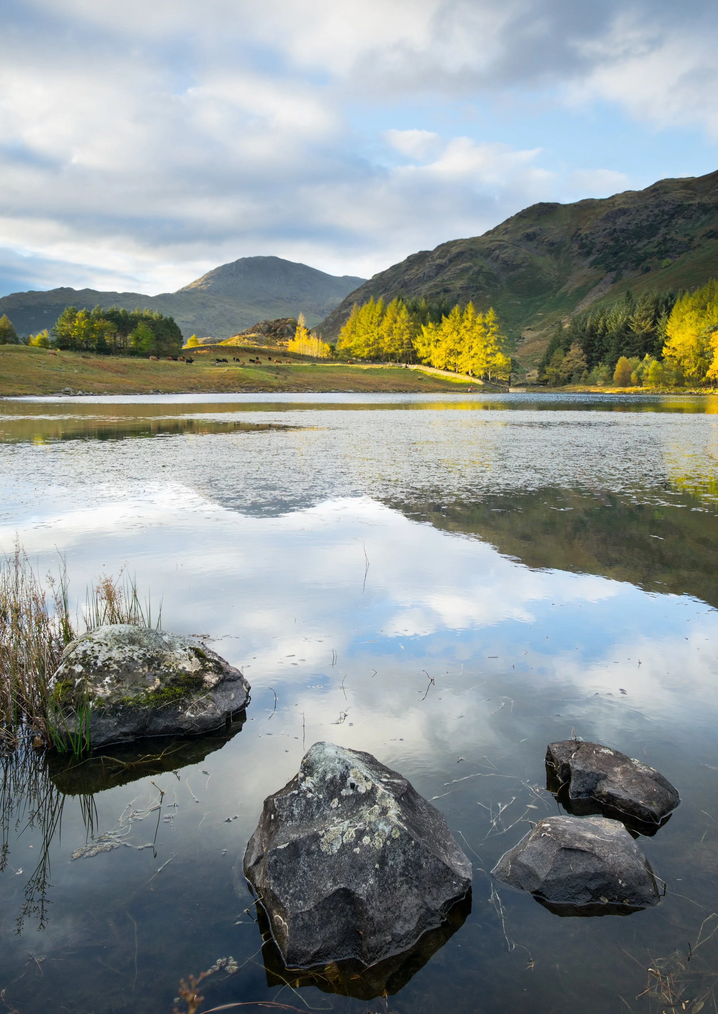 SP-Lake-District-2.jpg