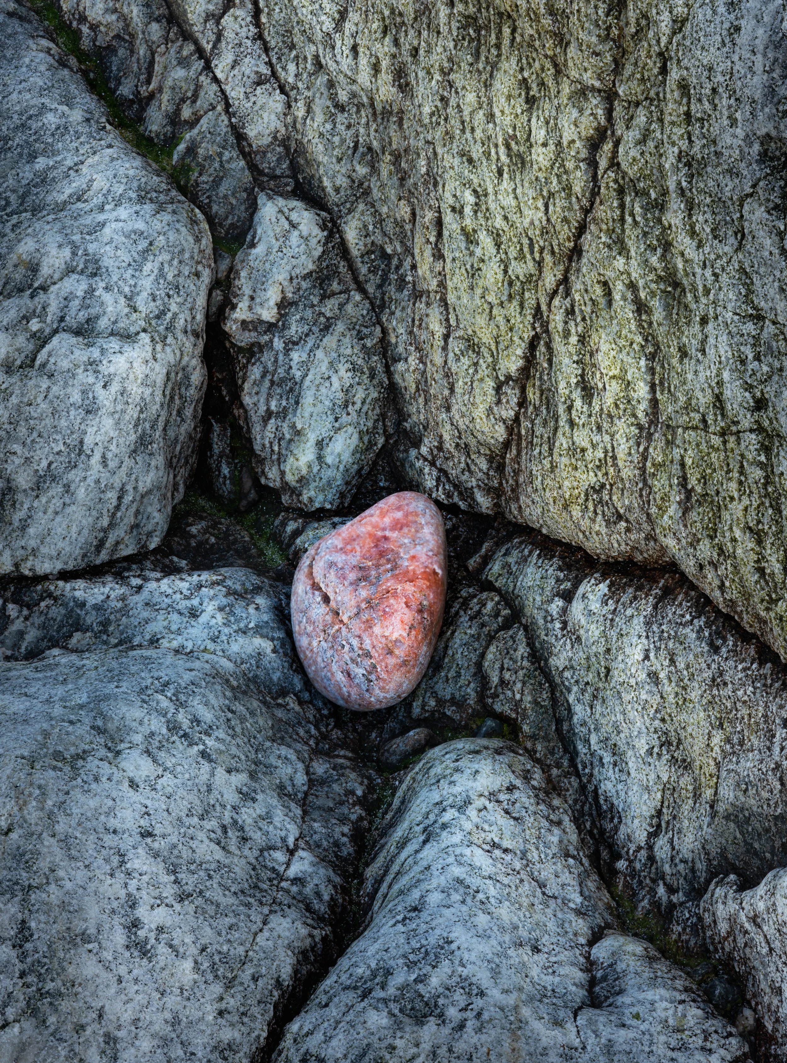 SP-close-up-12.jpg