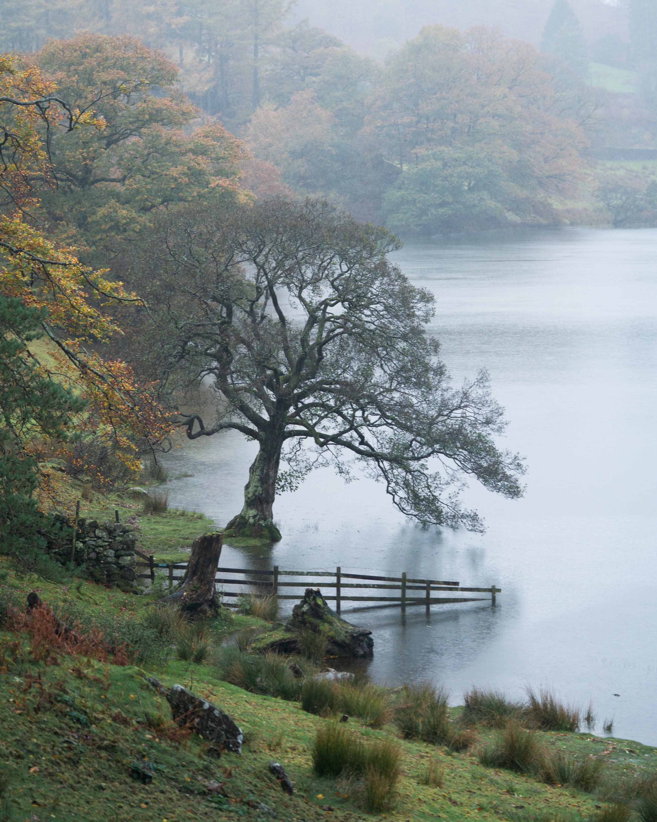 SP-Lake-District-3.jpg