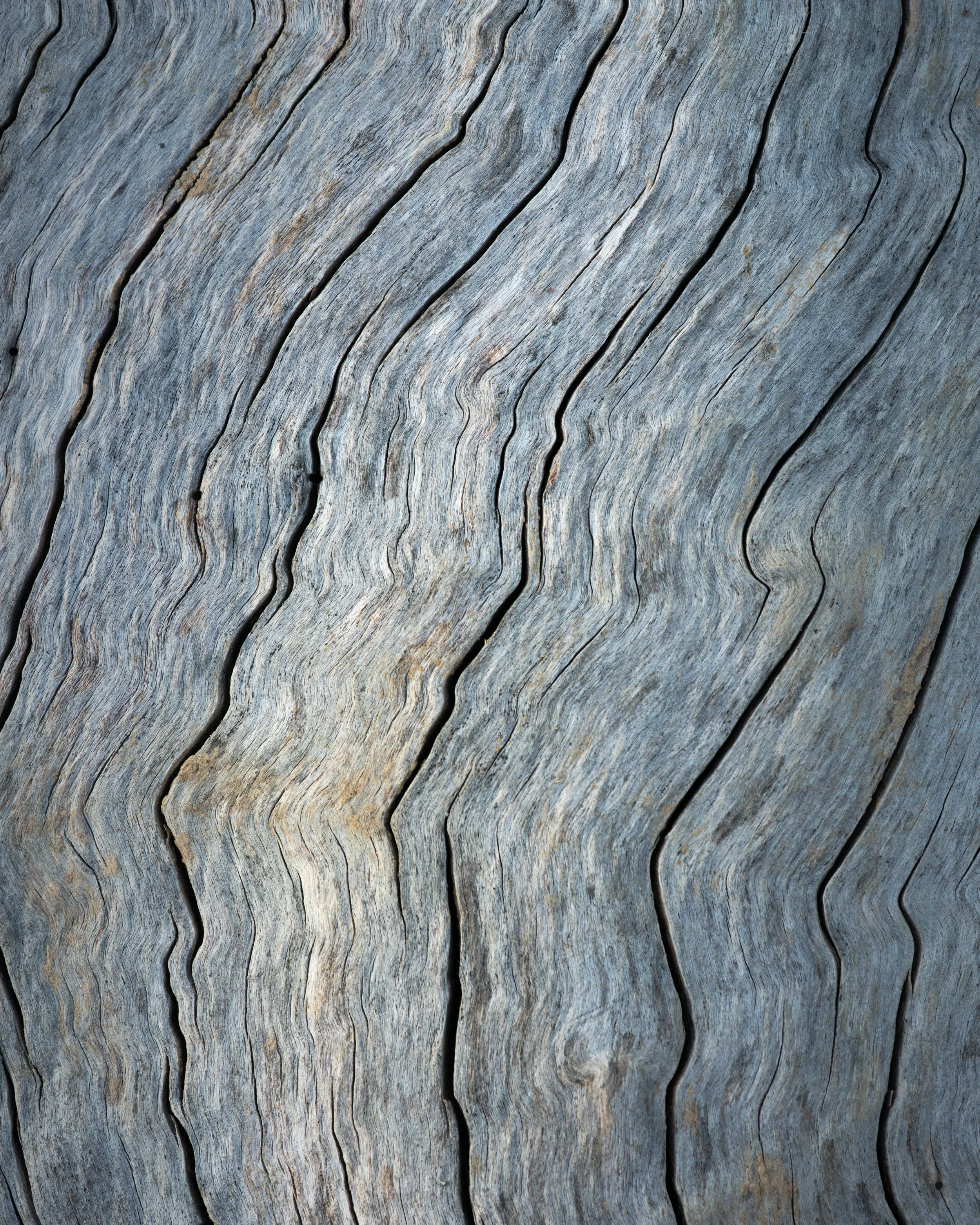 SP-Abstract-5.jpg