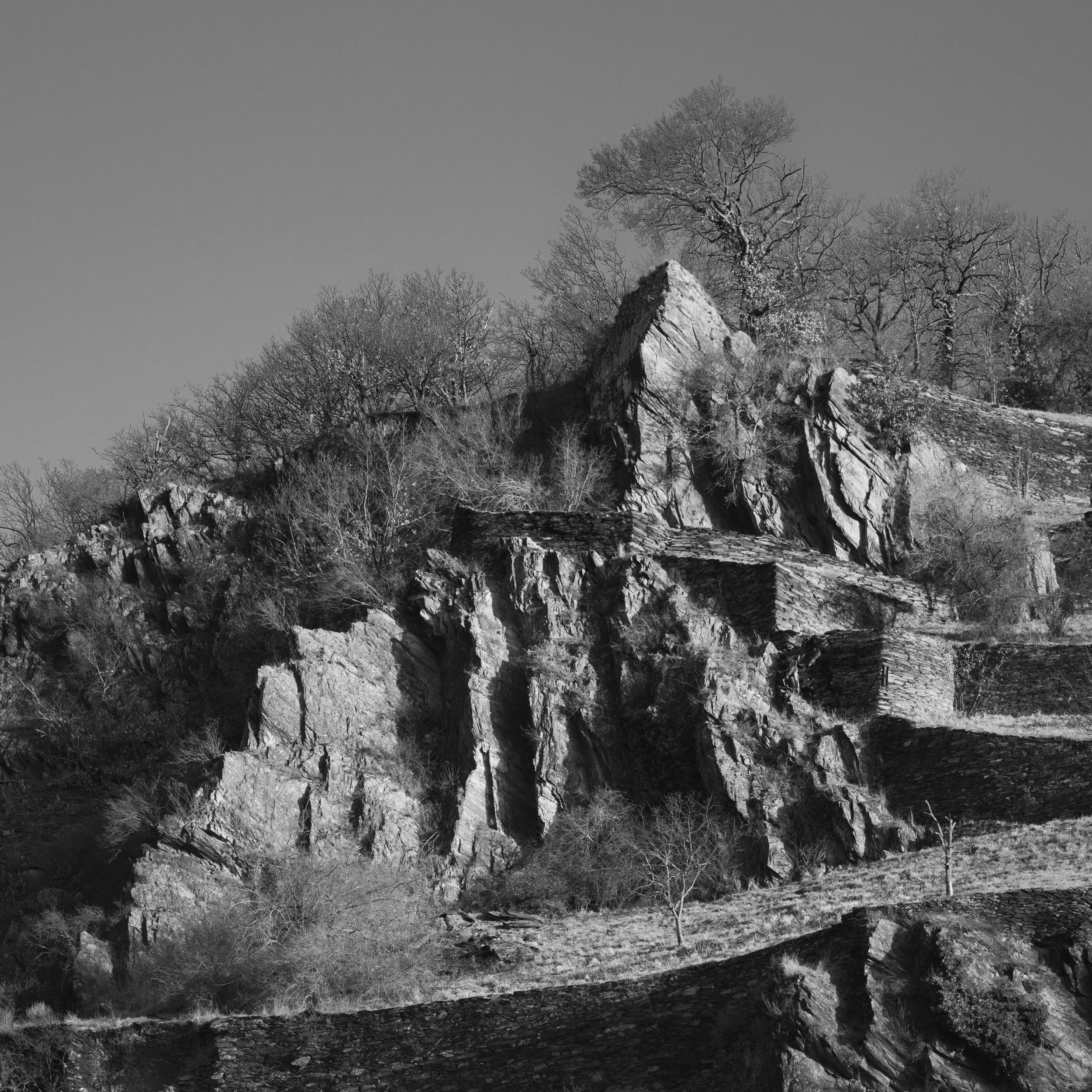 SP-BnW-8.jpg
