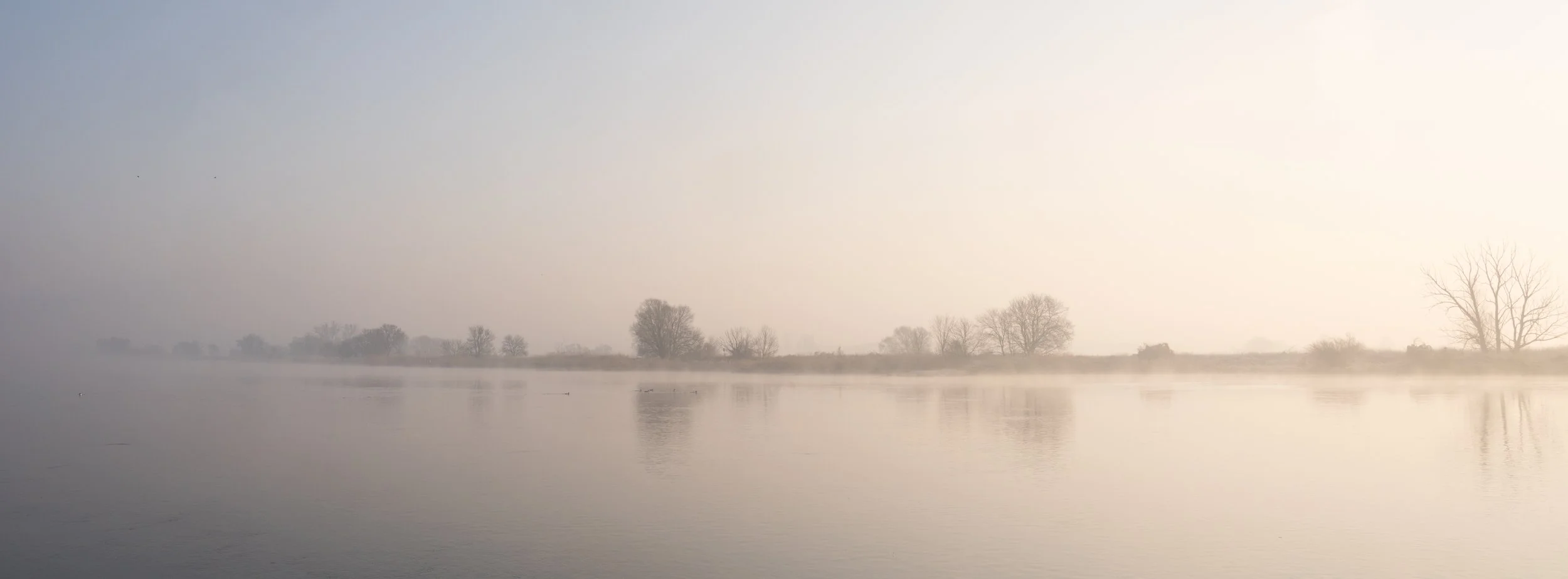 SP-water-1.jpg