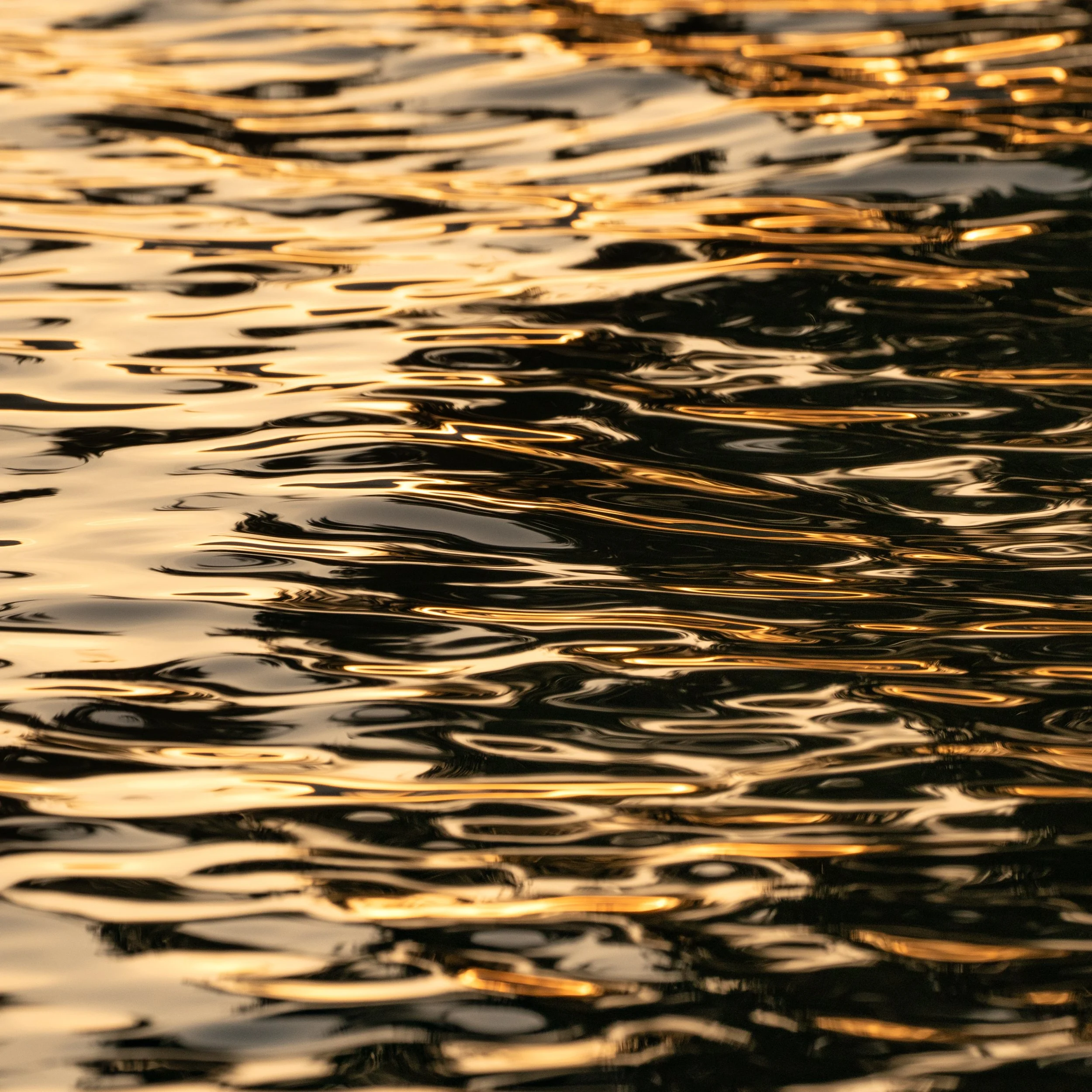 SP-water-12.jpg