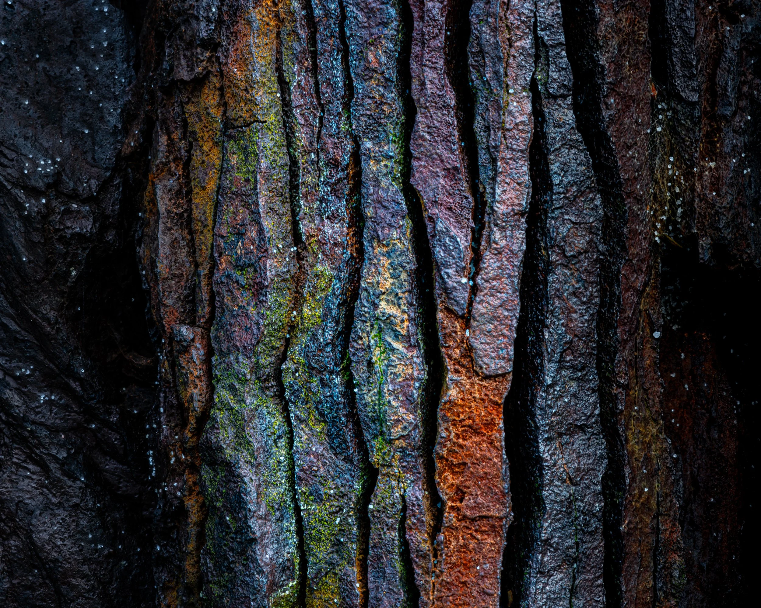 SP-Project-Rust-7.jpg