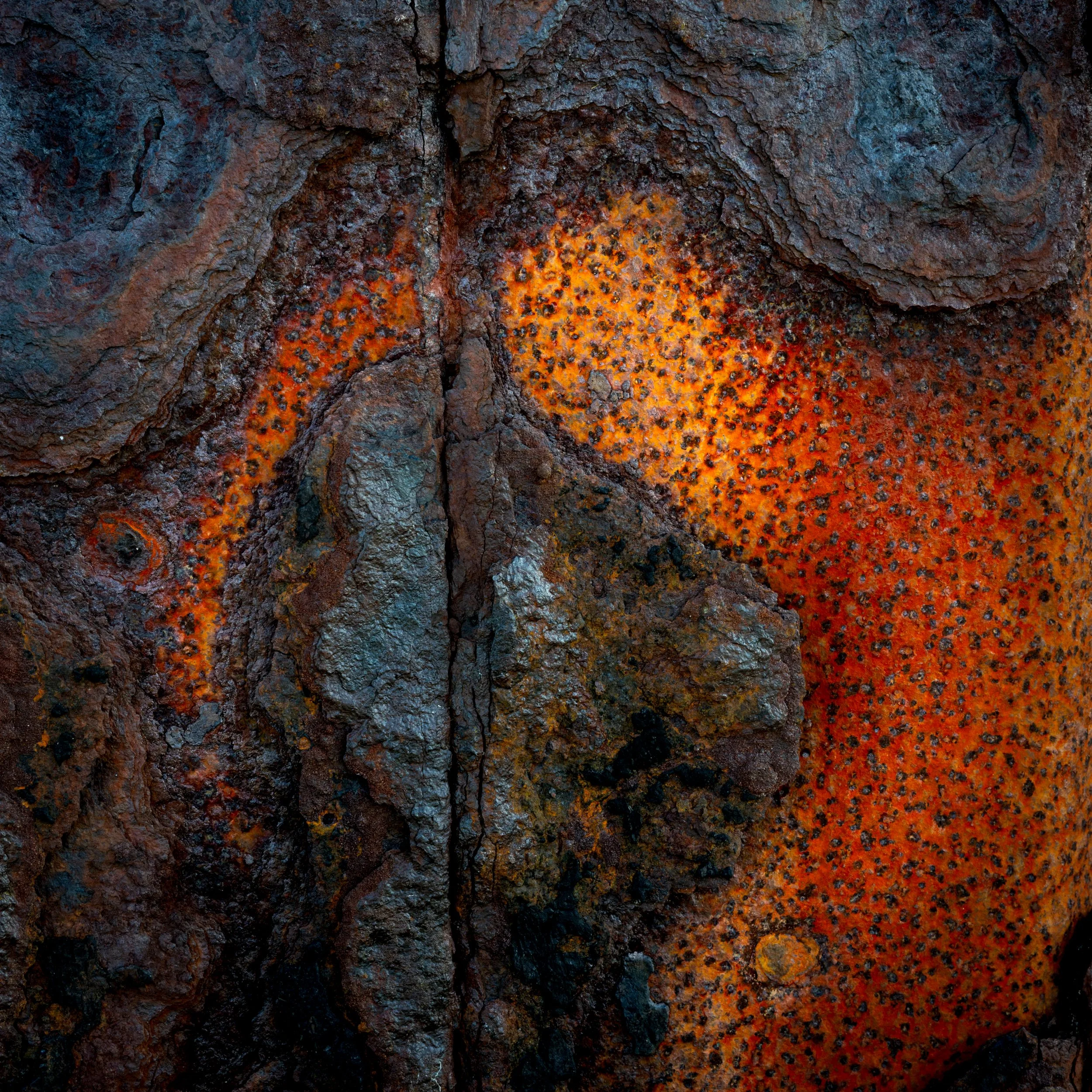 SP-Project-Rust-5.jpg