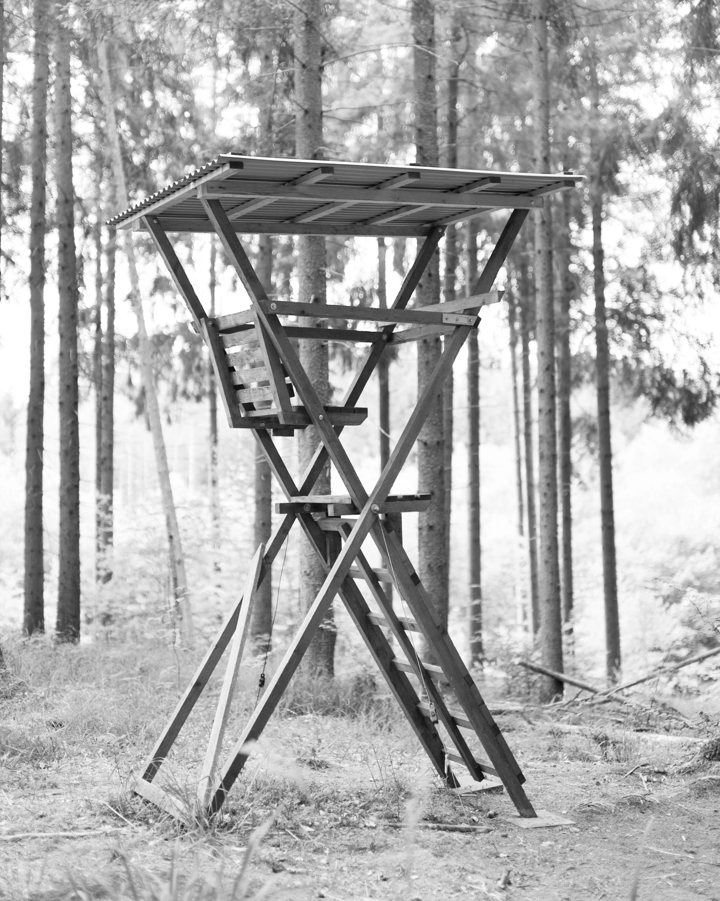 SP-Project-Ansitz-4.jpg
