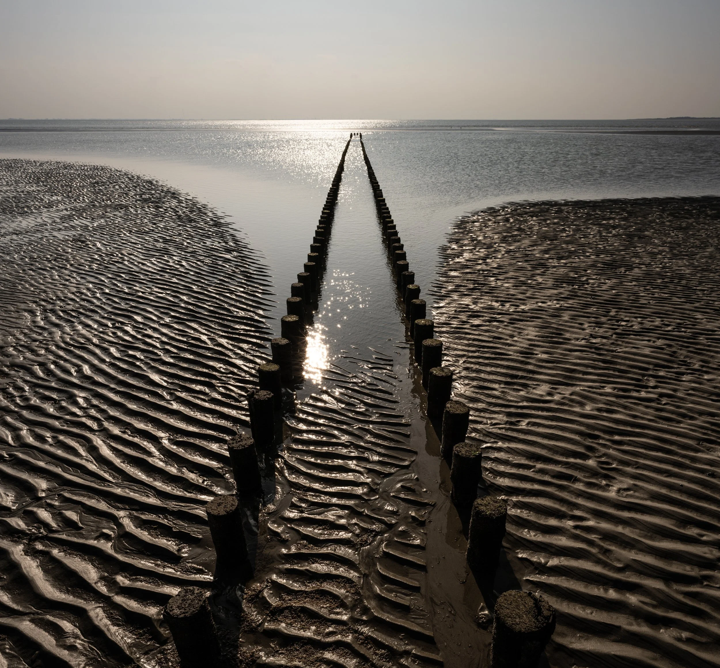 SP-Project-Spiekeroog-5.jpg