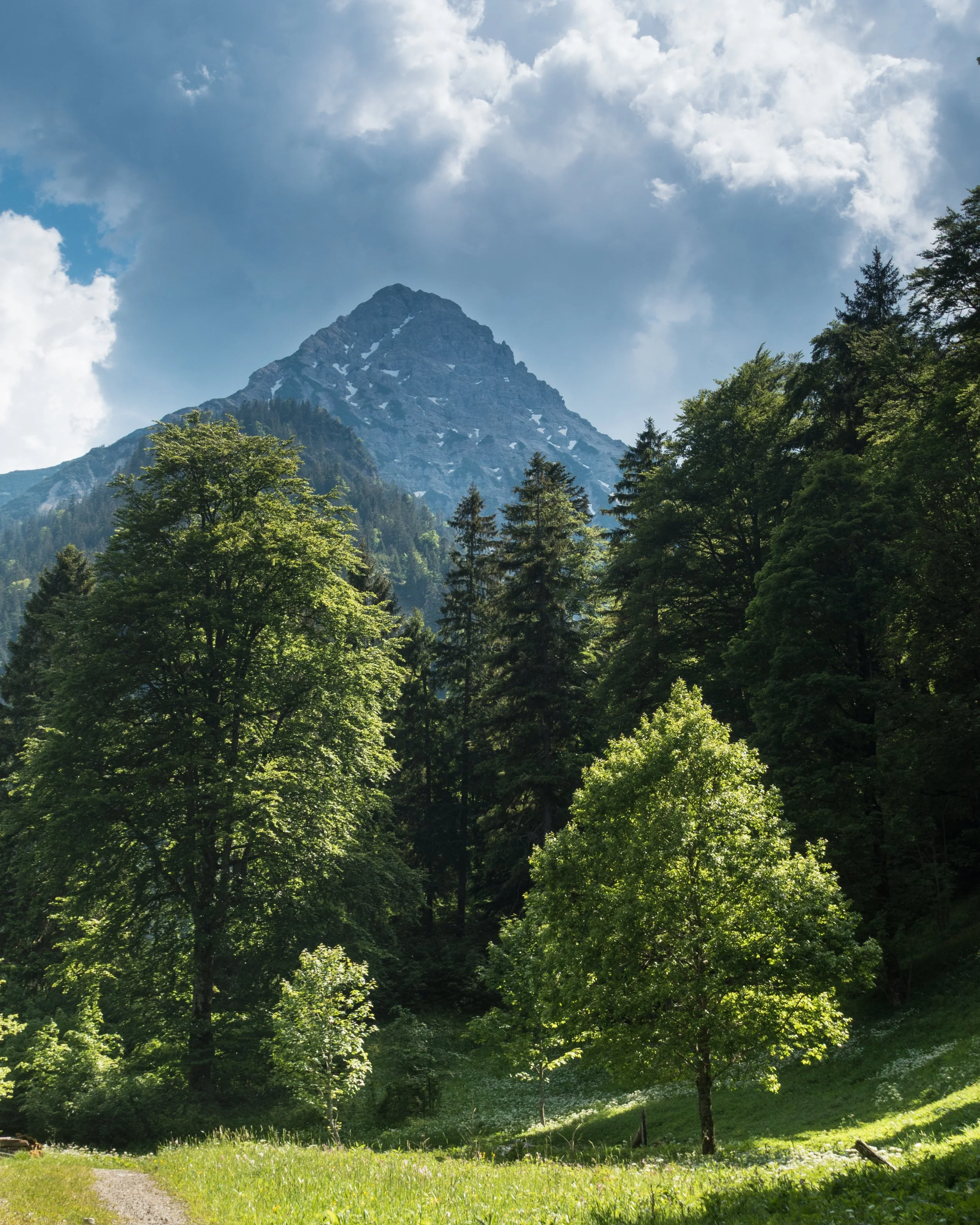 SP-mountains-4.jpg