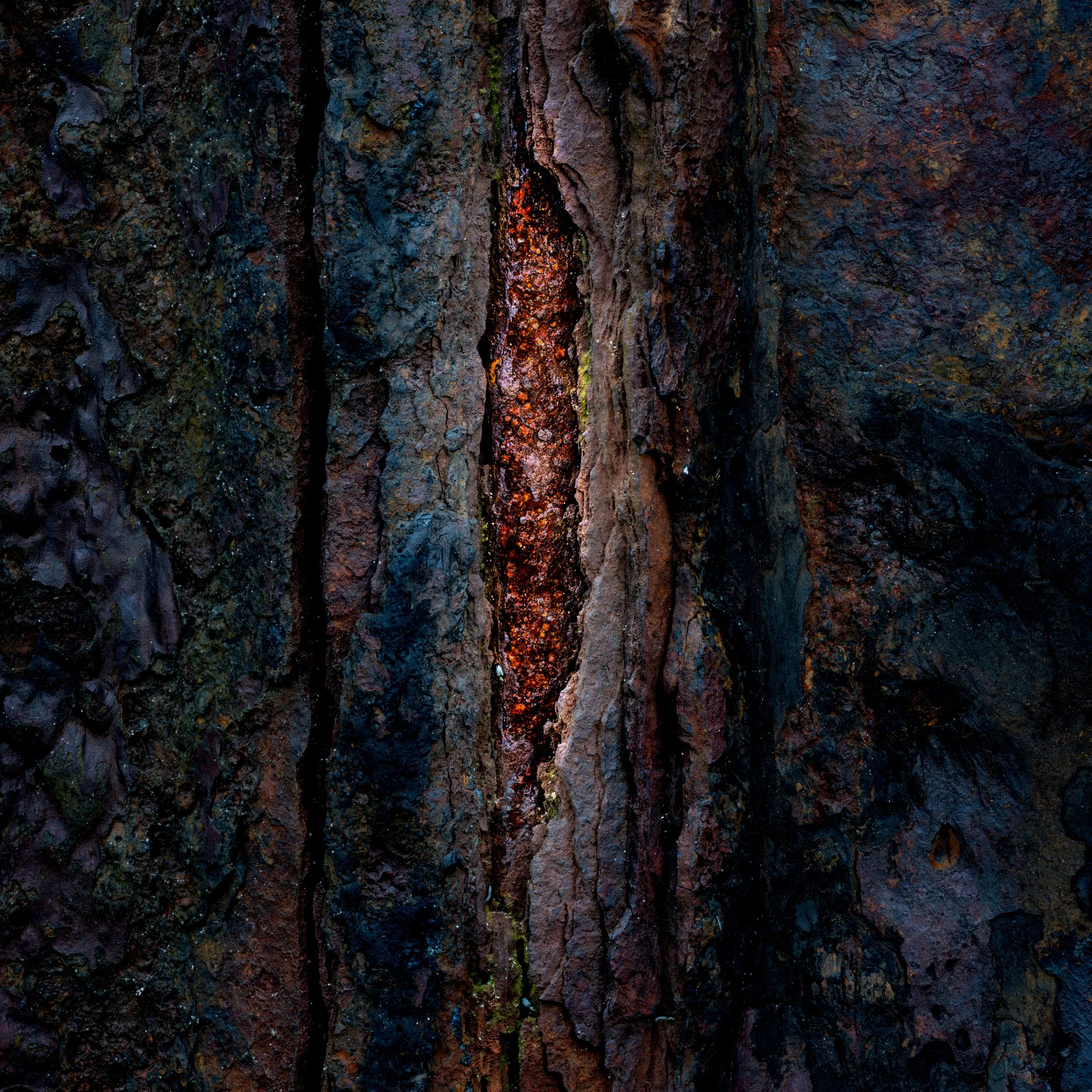 SP-Project-Rust-6.jpg