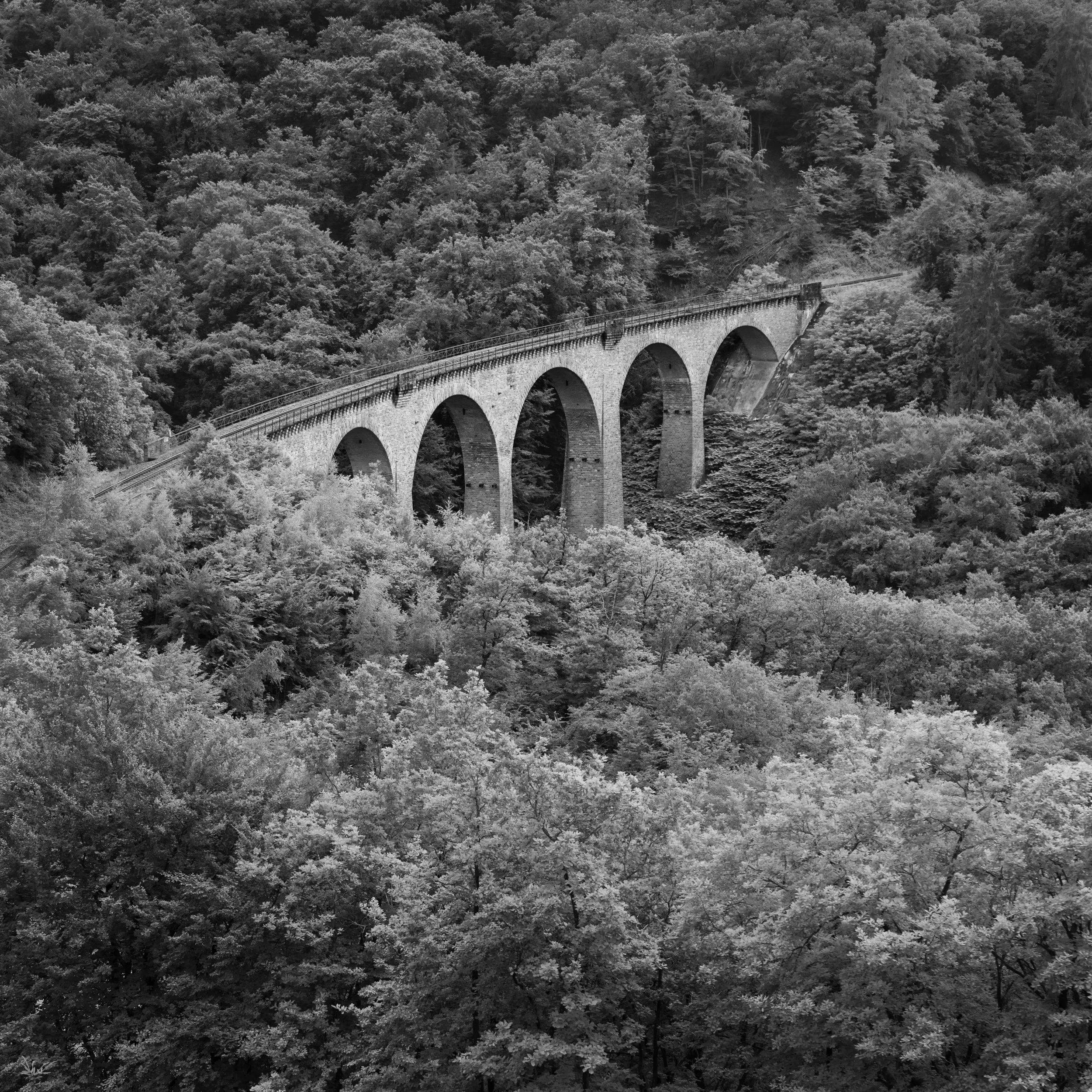 SP-BnW-3.jpg