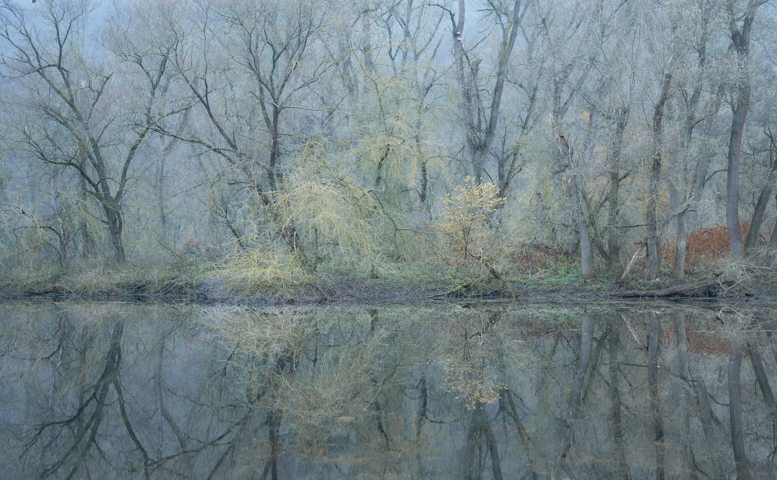 SP-trees-14.jpg