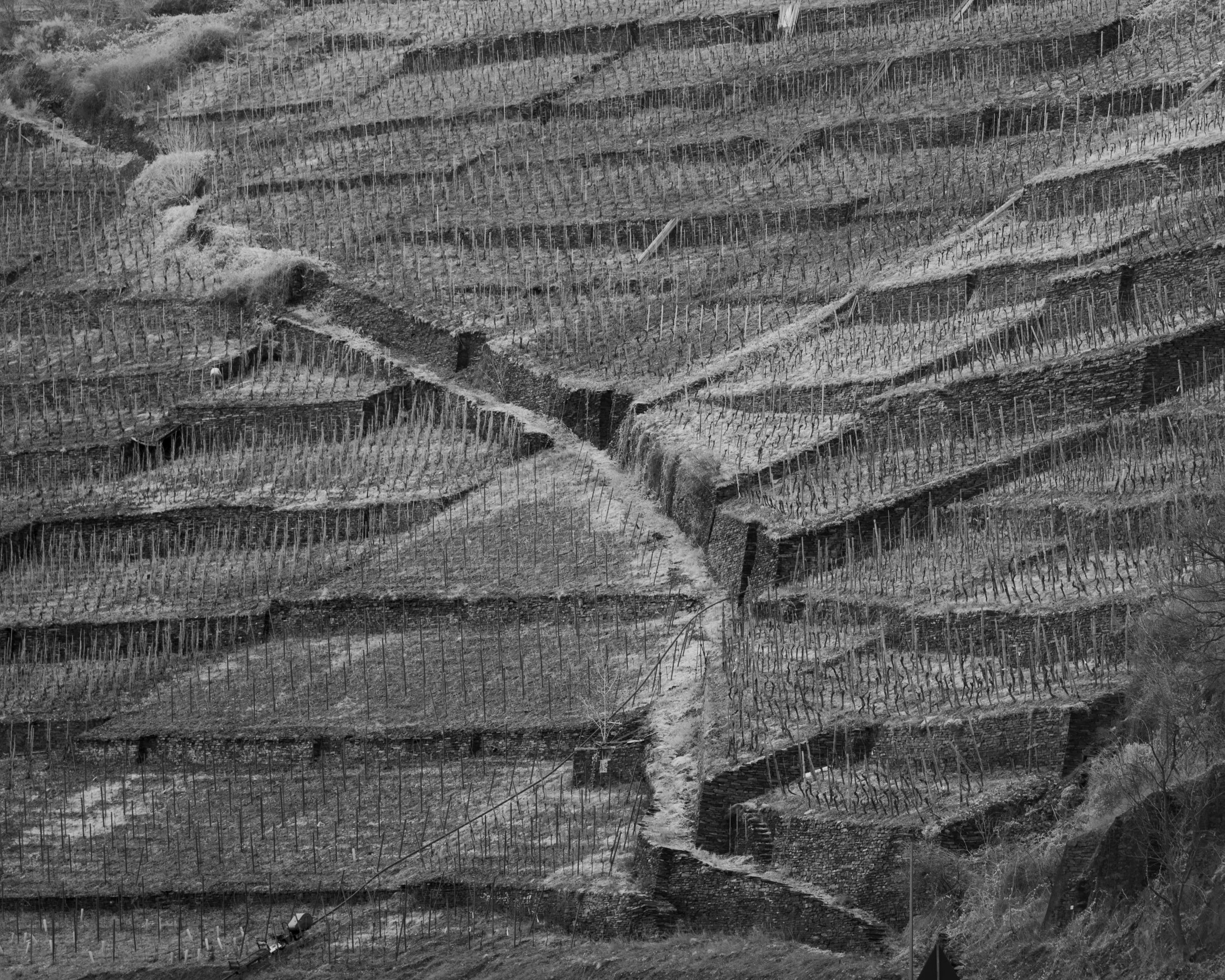 SP-BnW-2.jpg