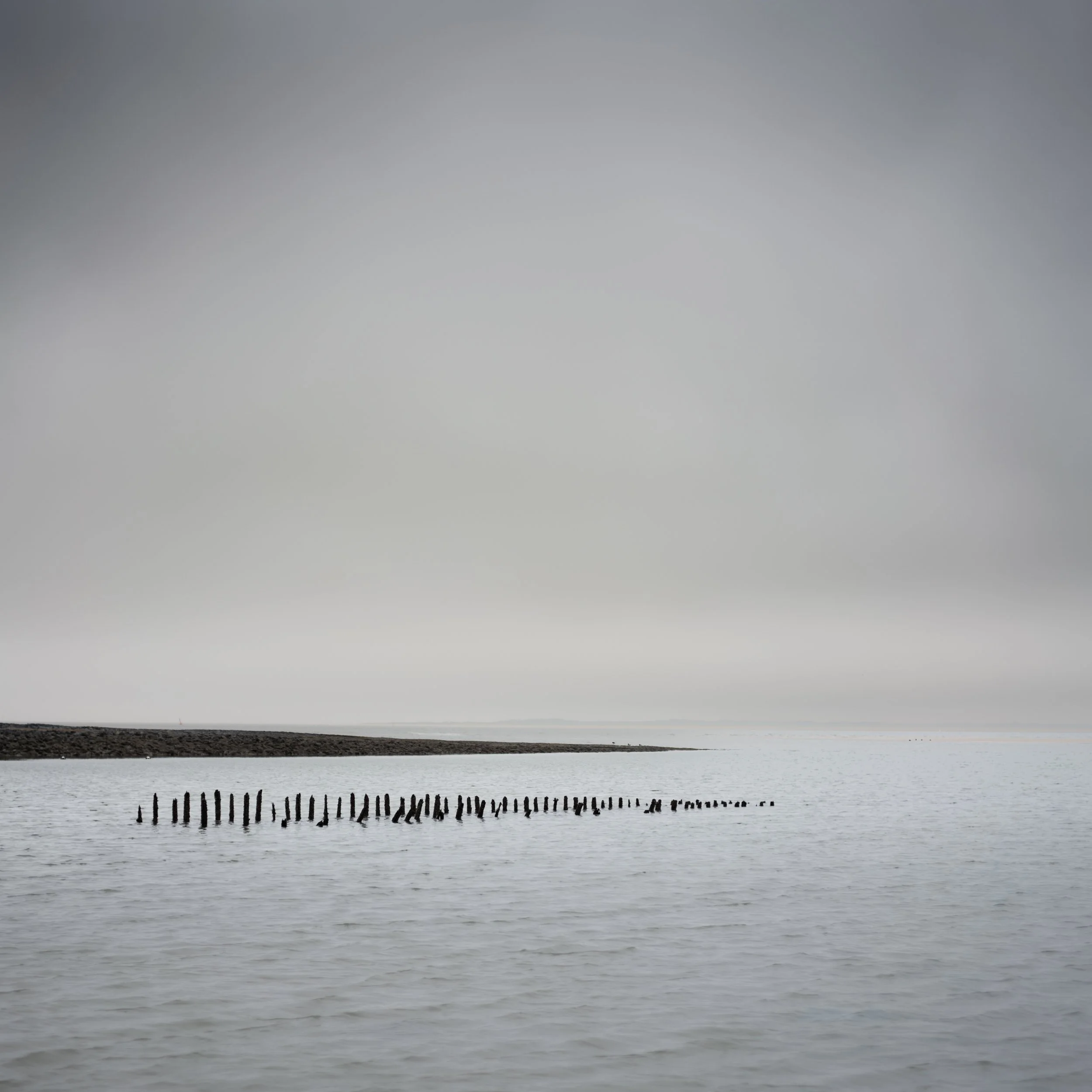 SP-Project-Spiekeroog-3.jpg
