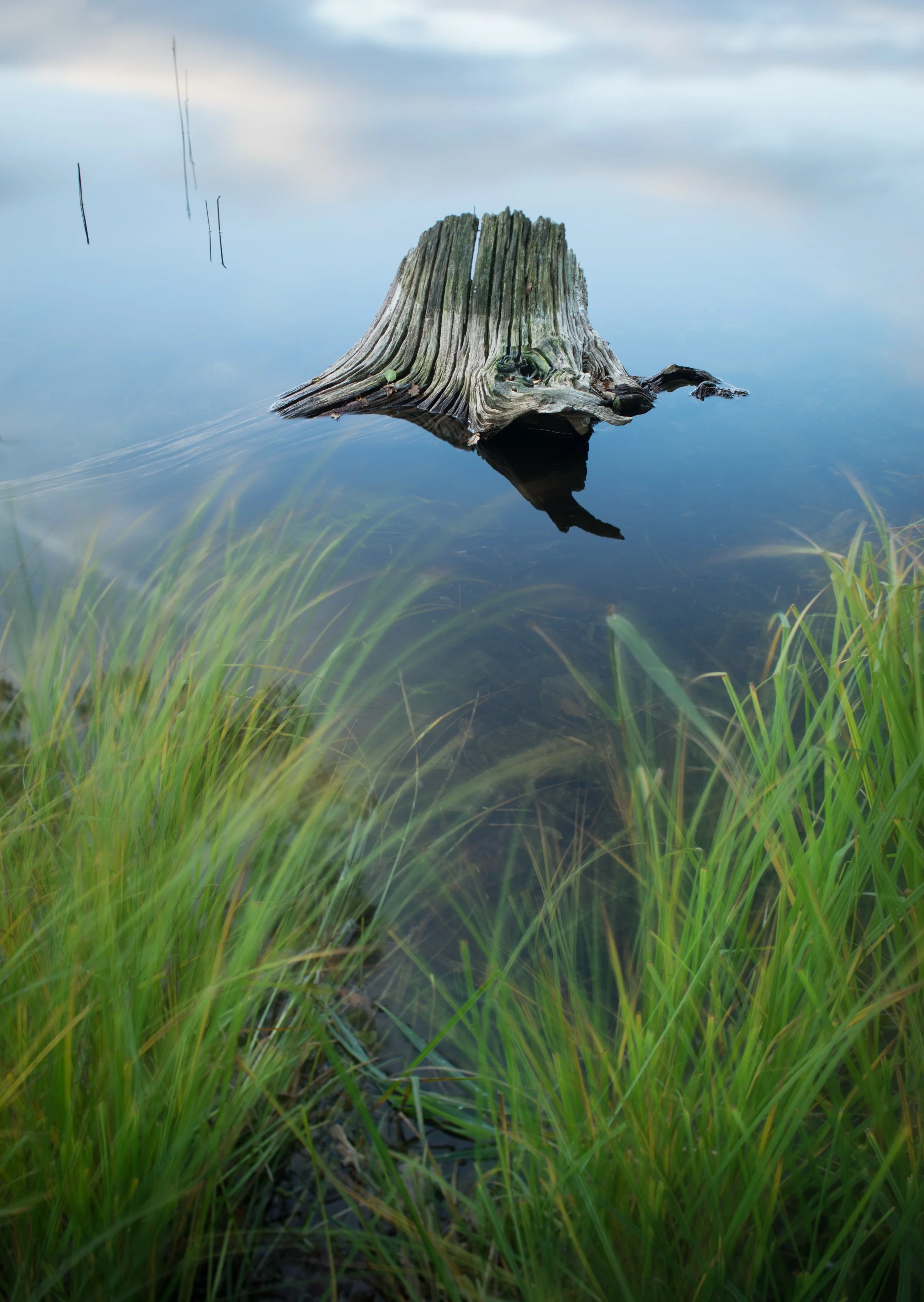 SP-Lake-District-1.jpg