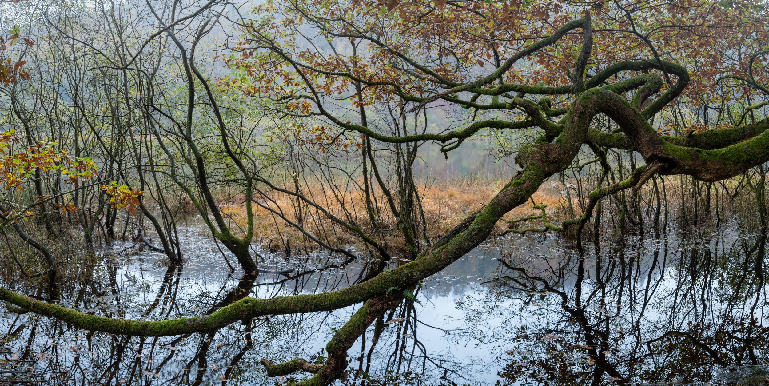 SP-Lake-District-5.jpg