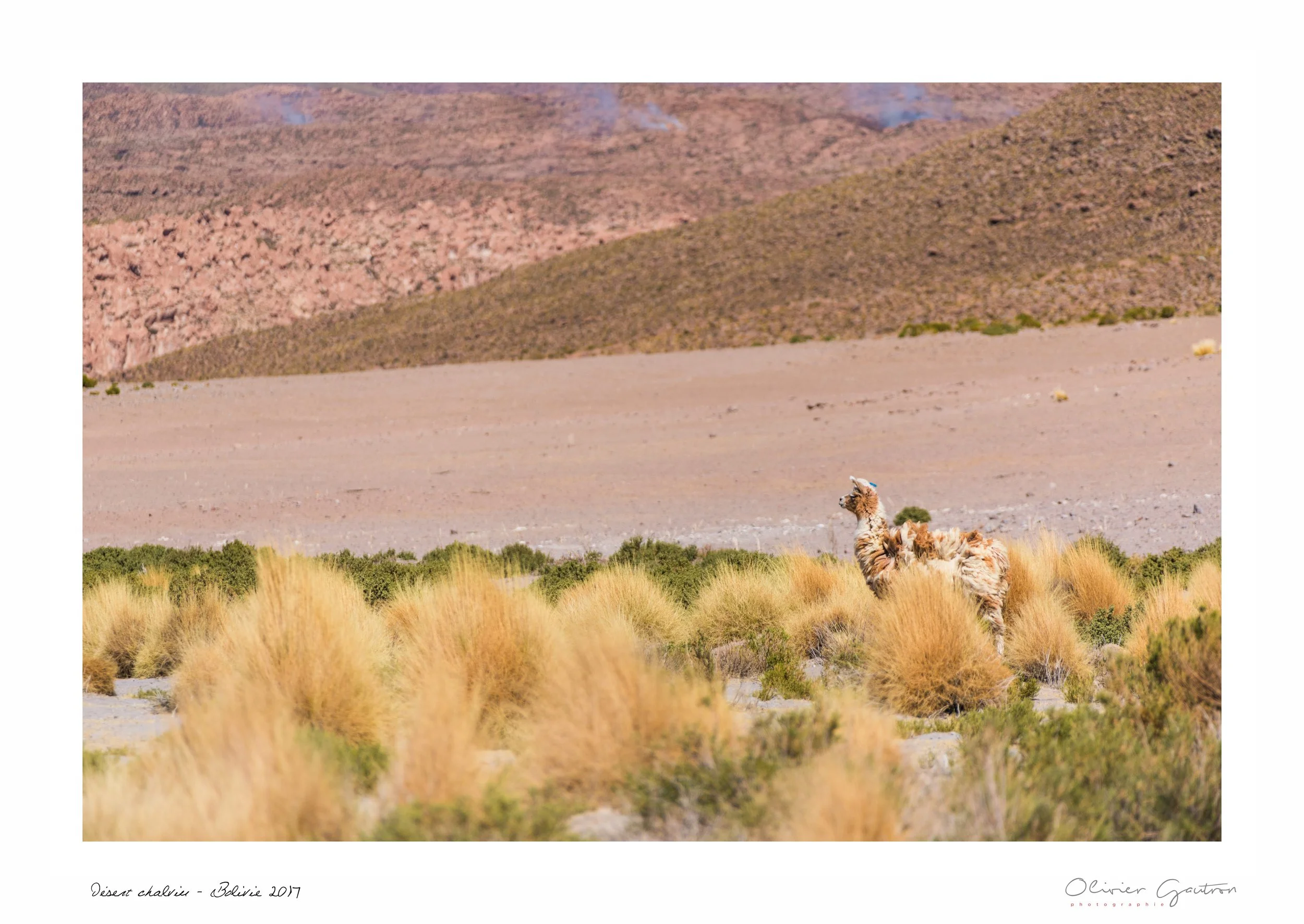 00302 pérou 2017.jpg