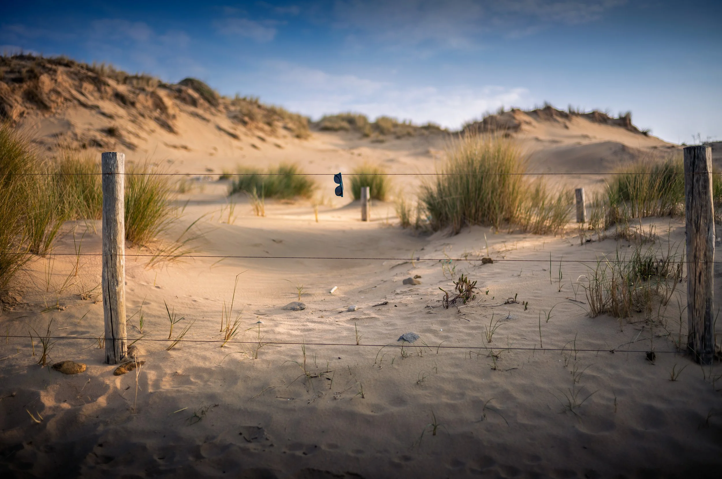 L1000194-Avec accentuation-Bruit.jpg