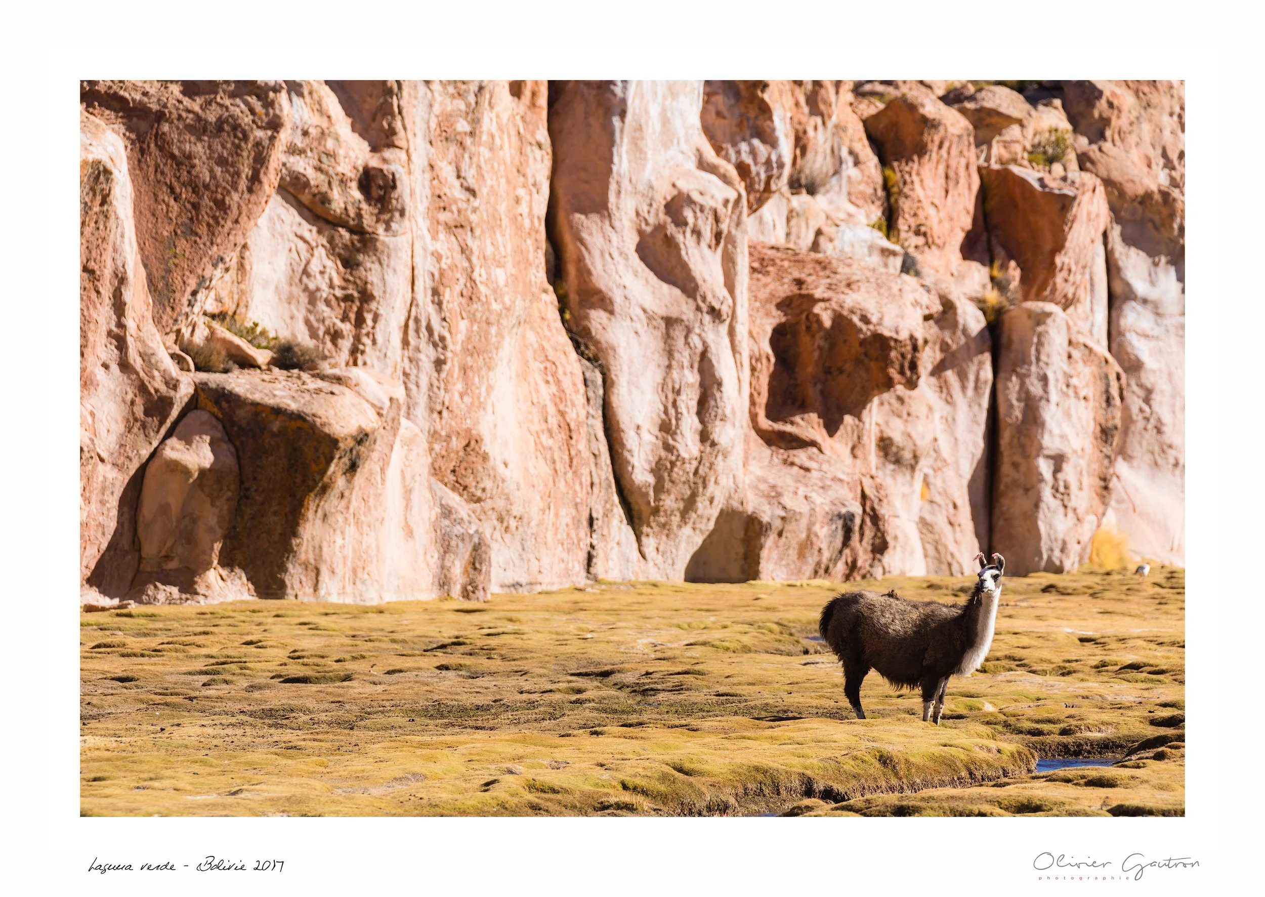 00310 pérou 2017.jpg