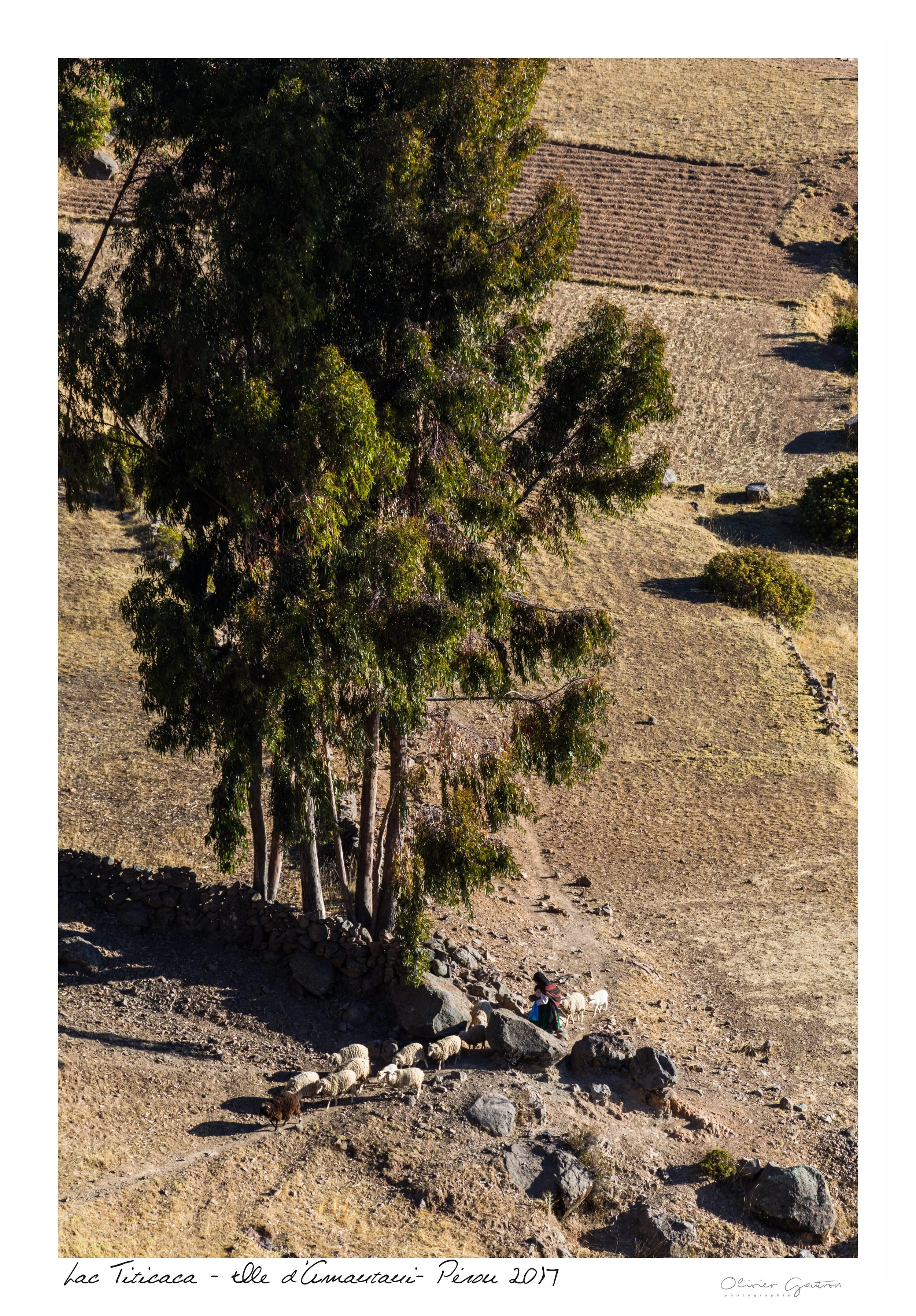 00114 pérou 2017.jpg