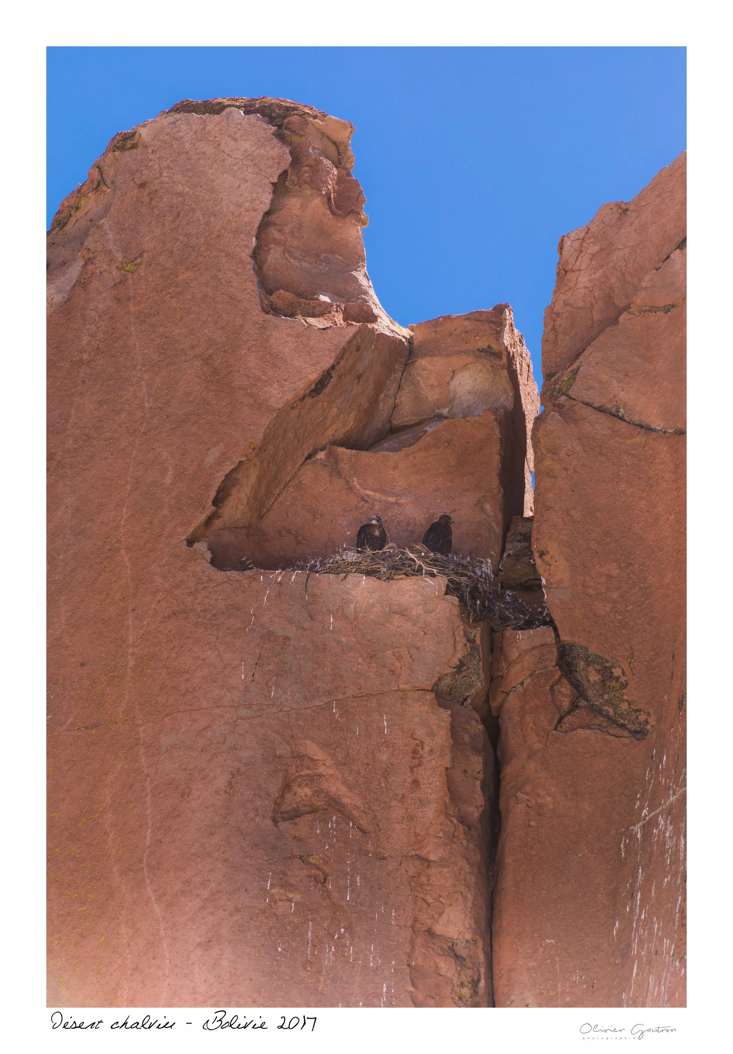 00296 pérou 2017.jpg