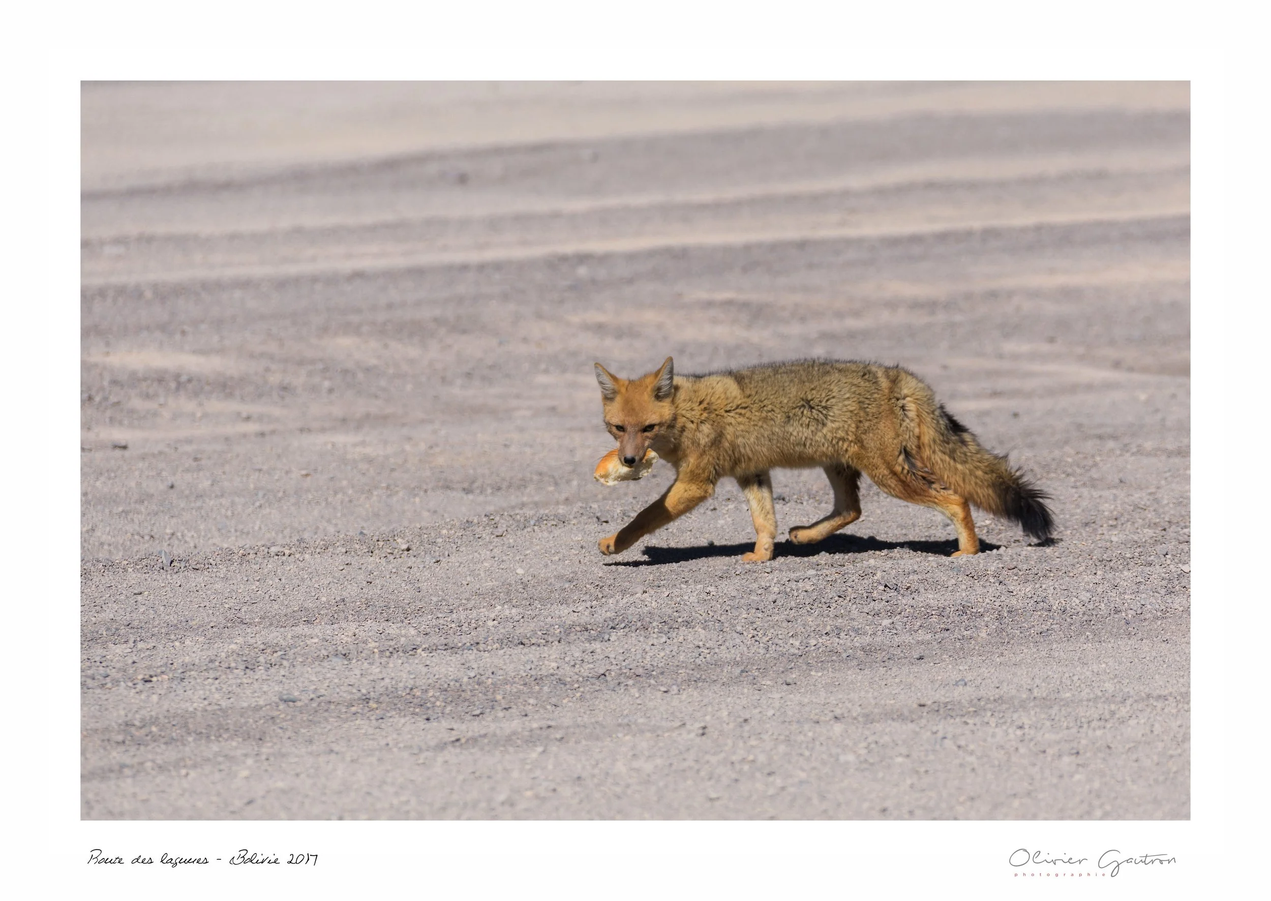 00261 pérou 2017.jpg