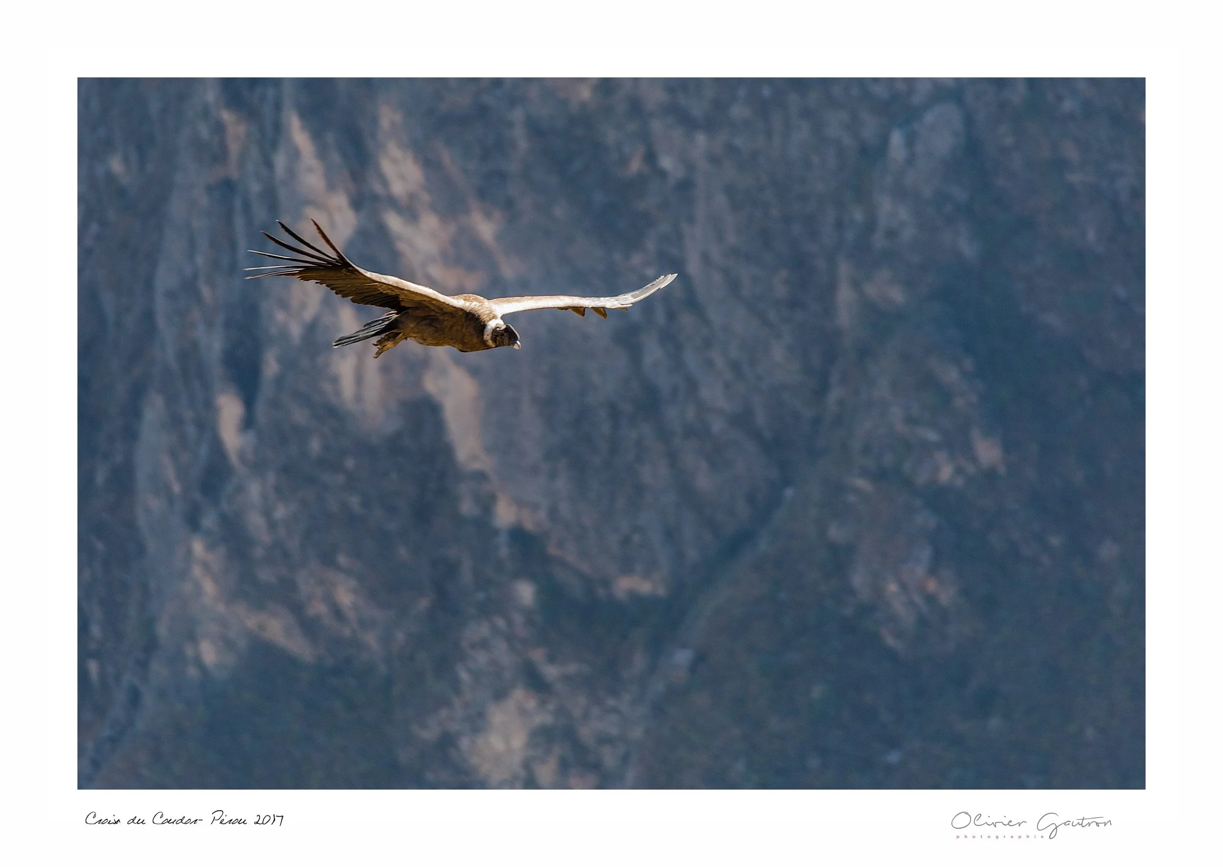 00055 pérou 2017.jpg