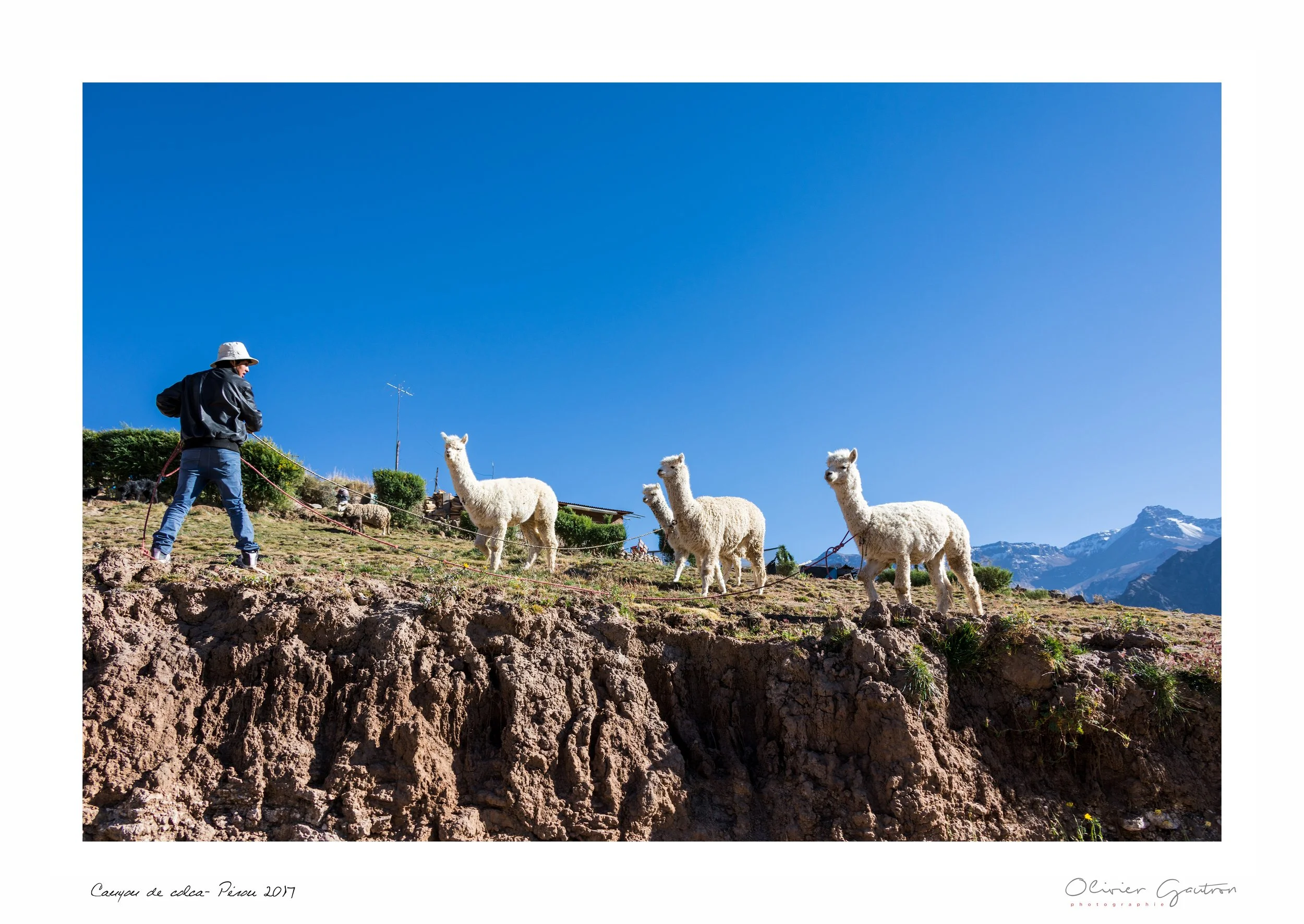 00051 pérou 2017.jpg