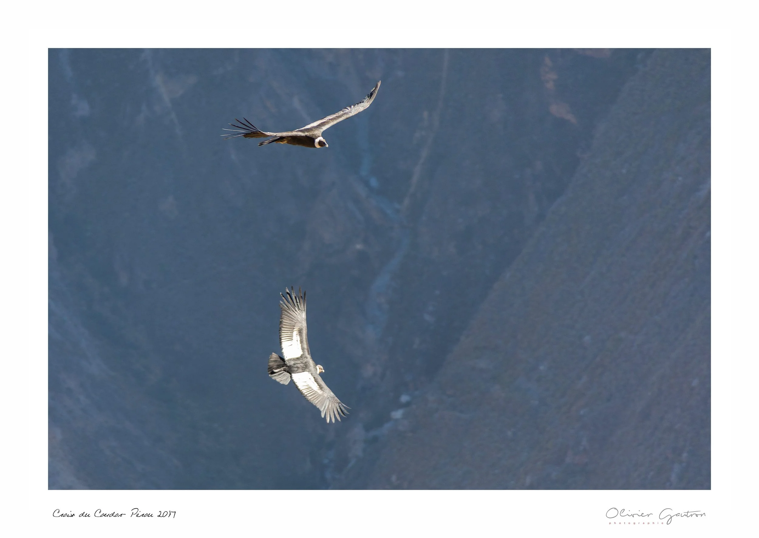 00062 pérou 2017.jpg