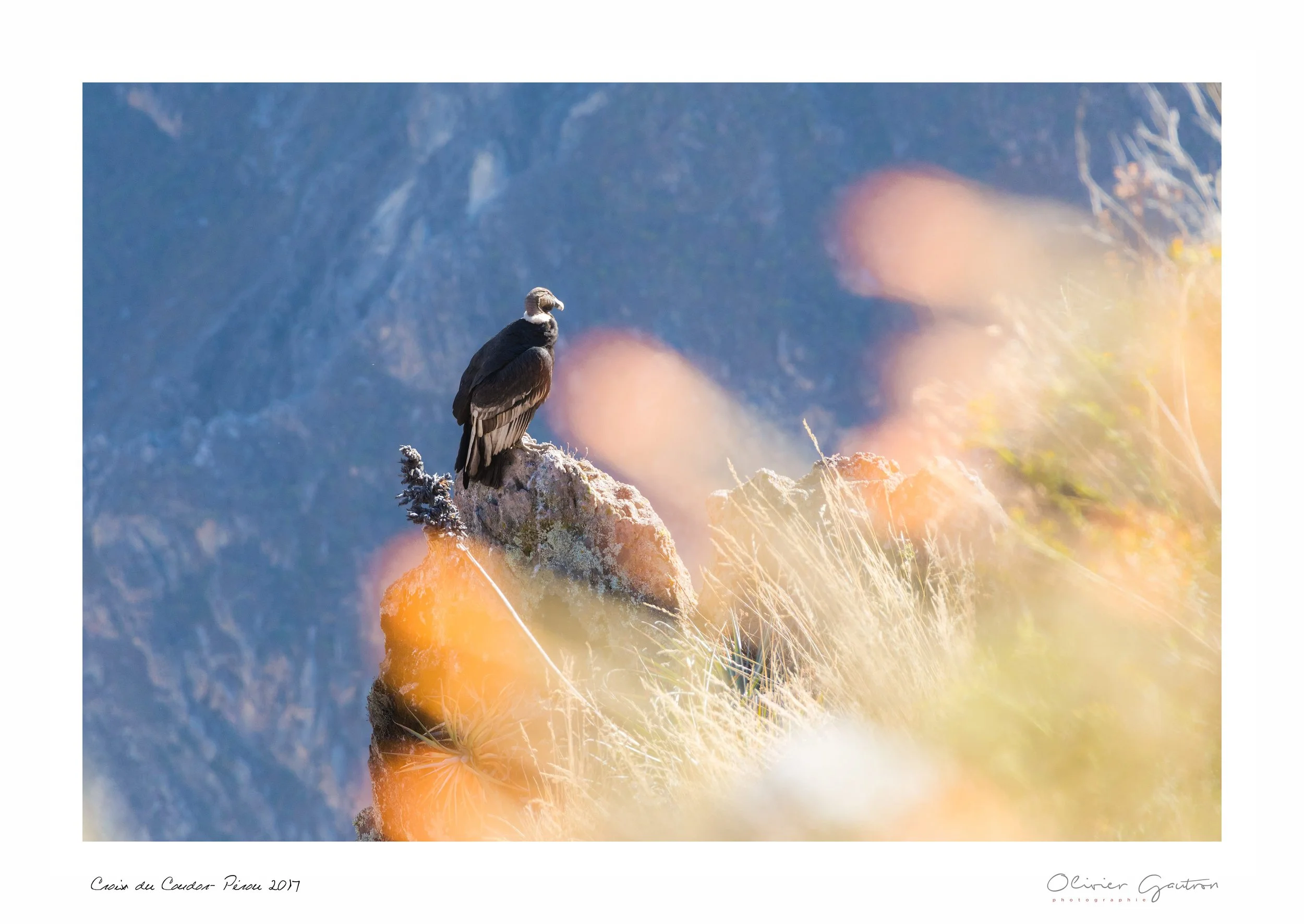 00052 pérou 2017.jpg