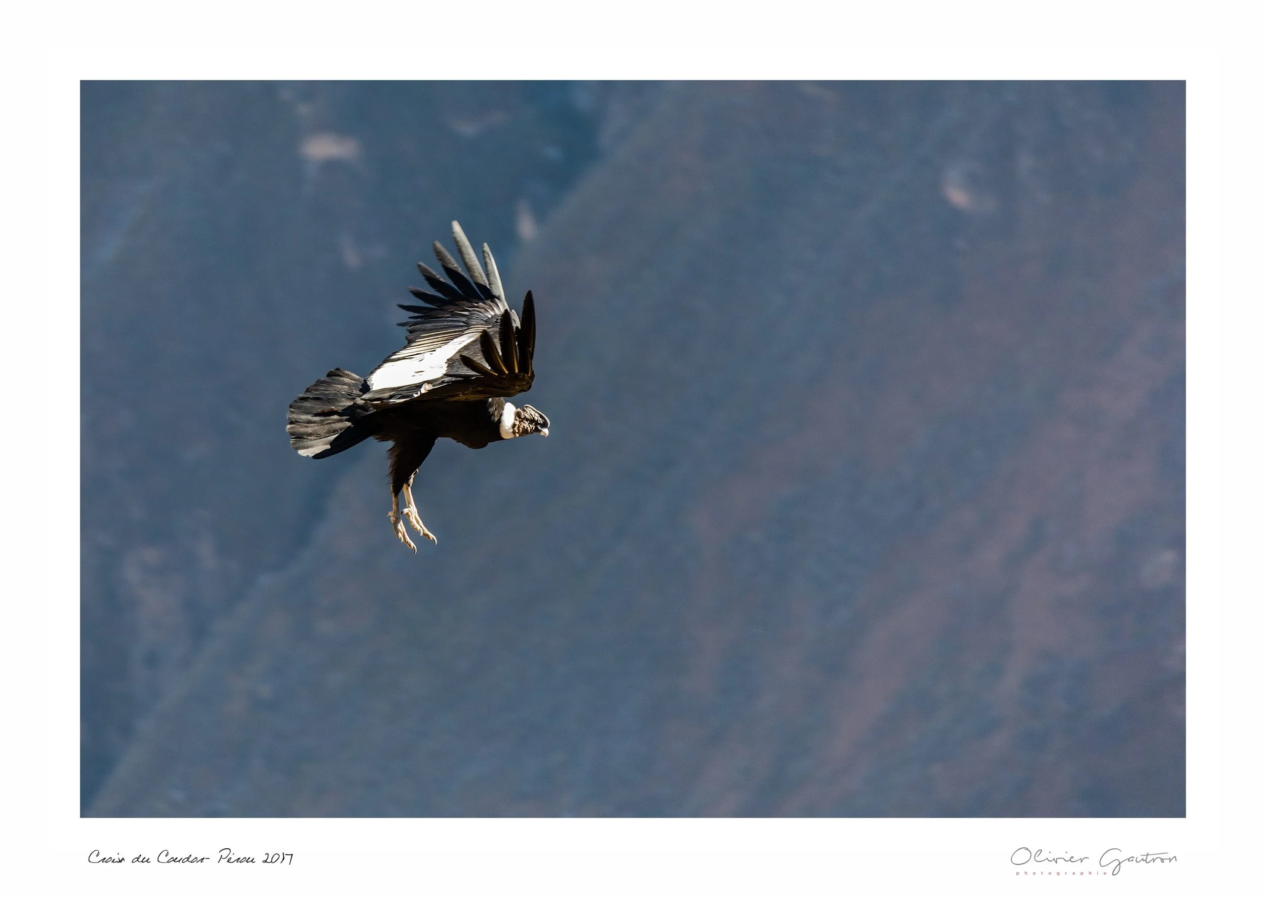 00059 pérou 2017.jpg