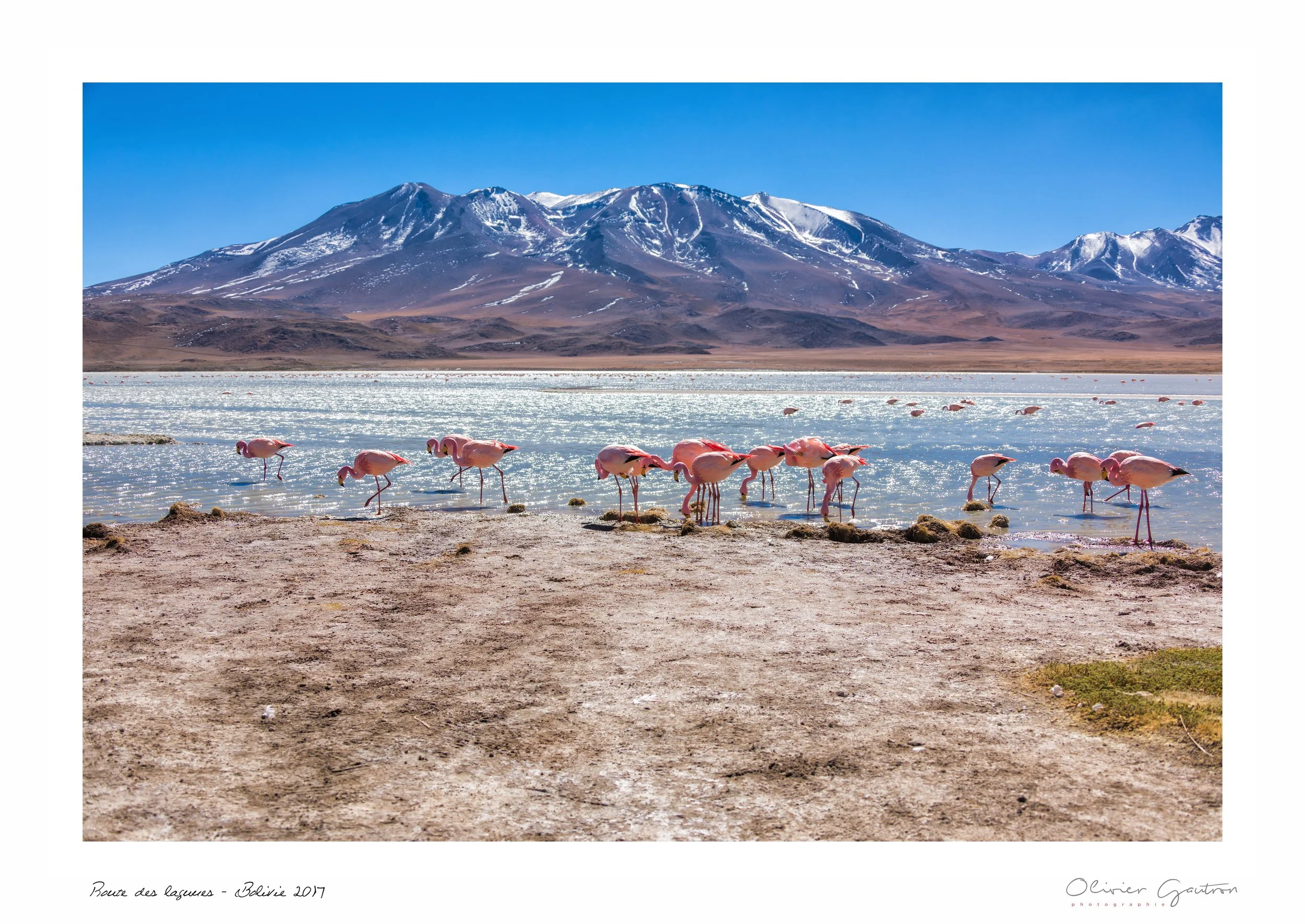 00250 pérou 2017.jpg