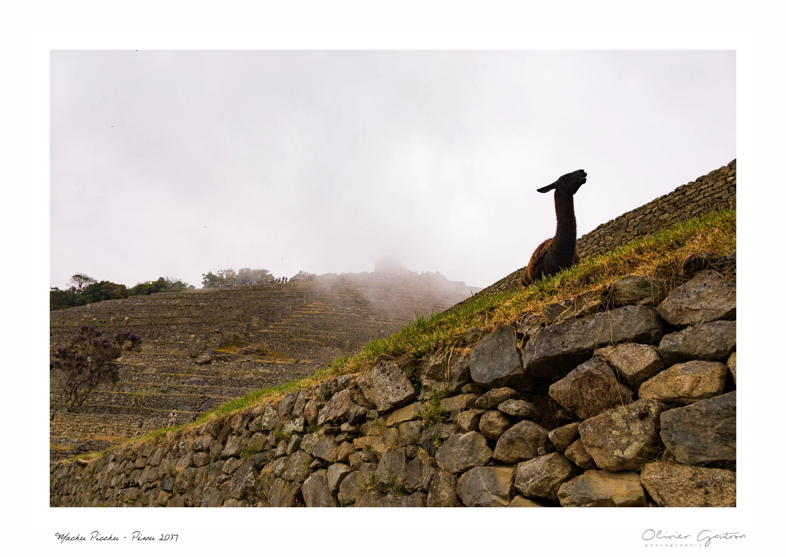 00365 pérou 2017.jpg