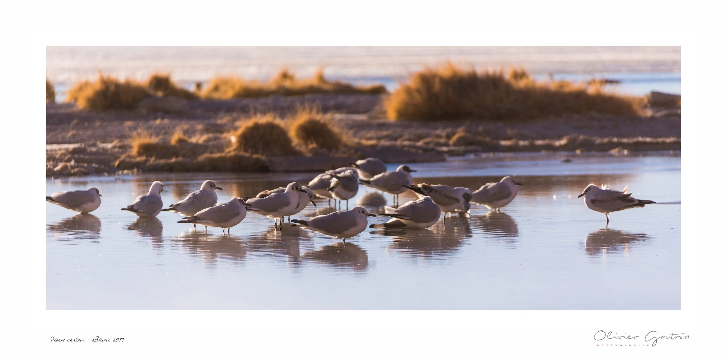 00281 pérou 2017.jpg