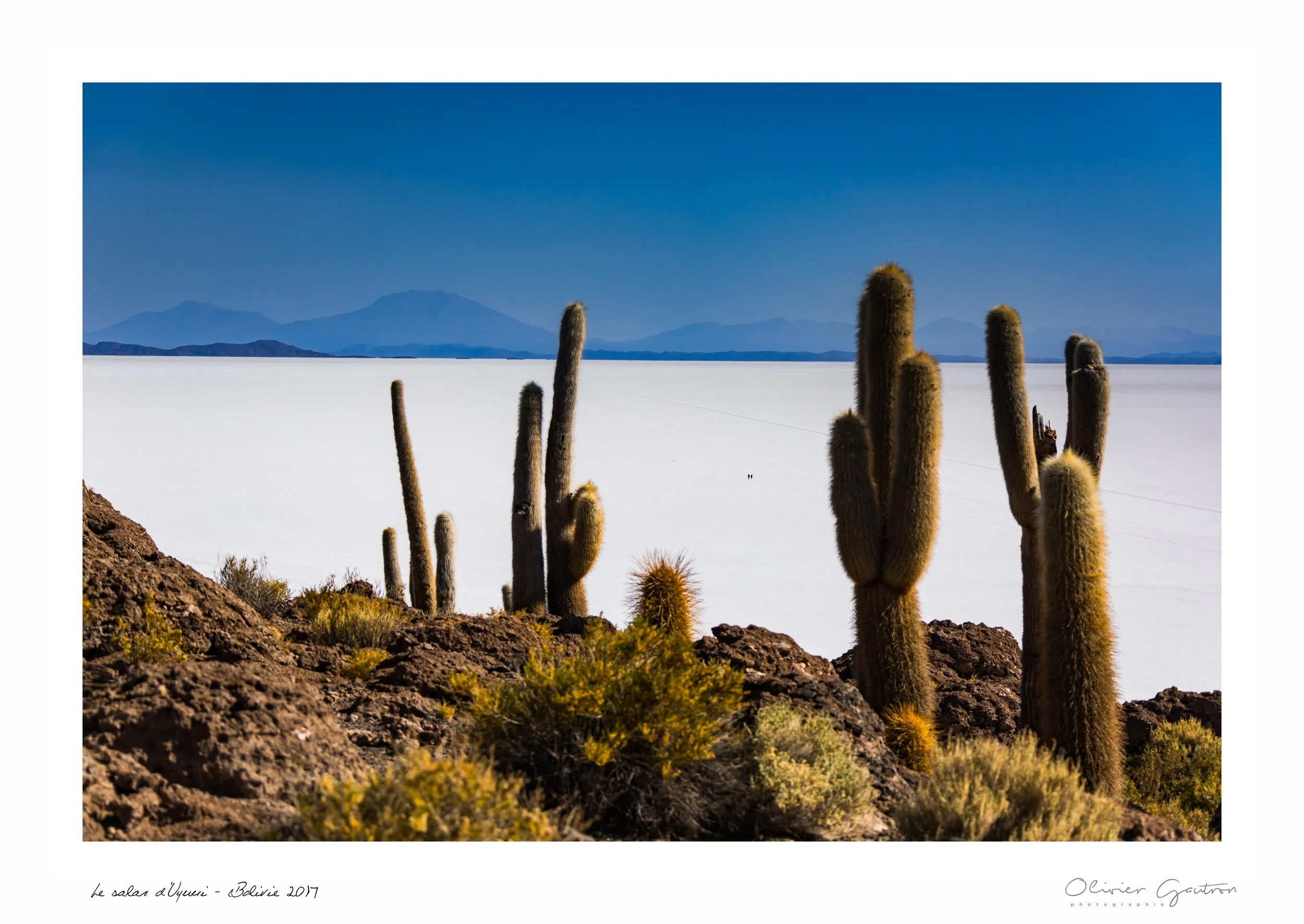 00237 pérou 2017.jpg