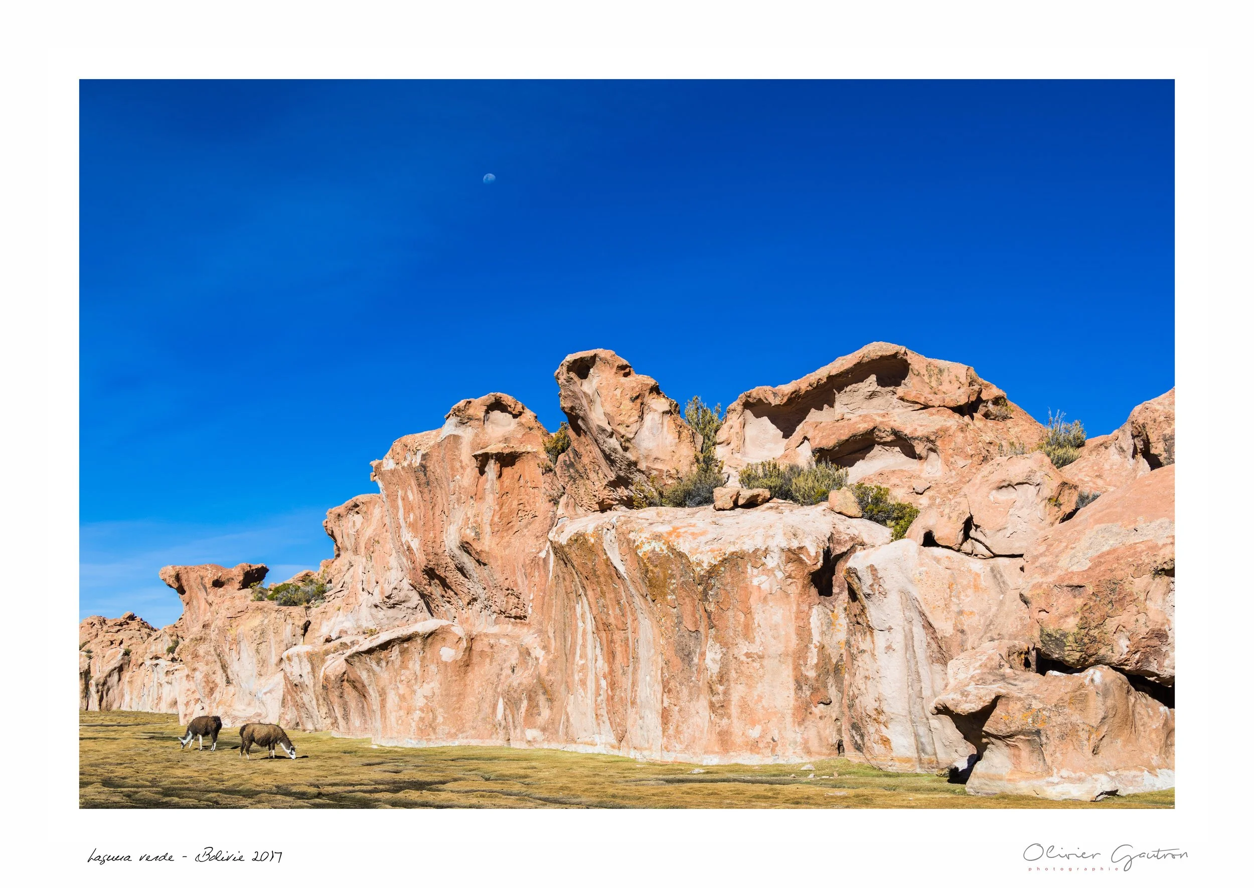 00311 pérou 2017.jpg