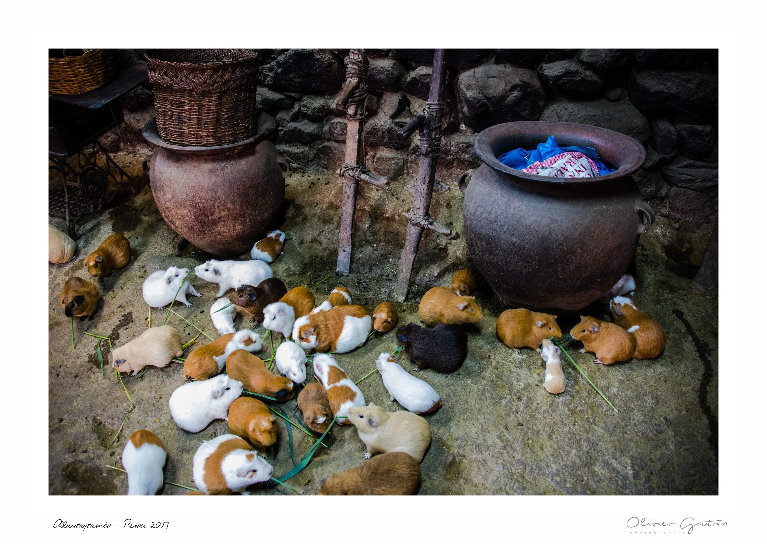 00350 pérou 2017.jpg