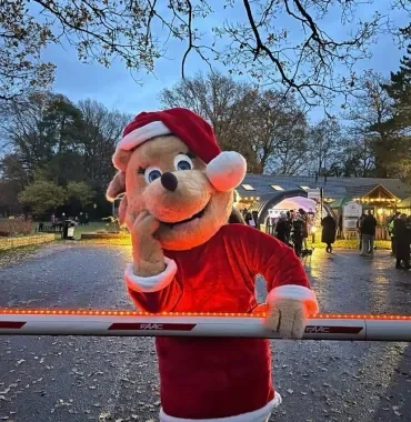 grace the hedgehog in santas constume.webp